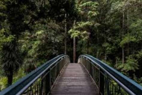 site profile thumbnail