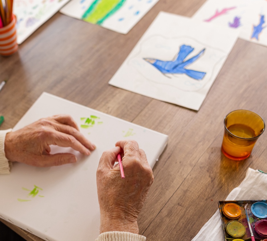 Senior hands painting on paper with watercolors and drawings of colored birds on a wooden table.