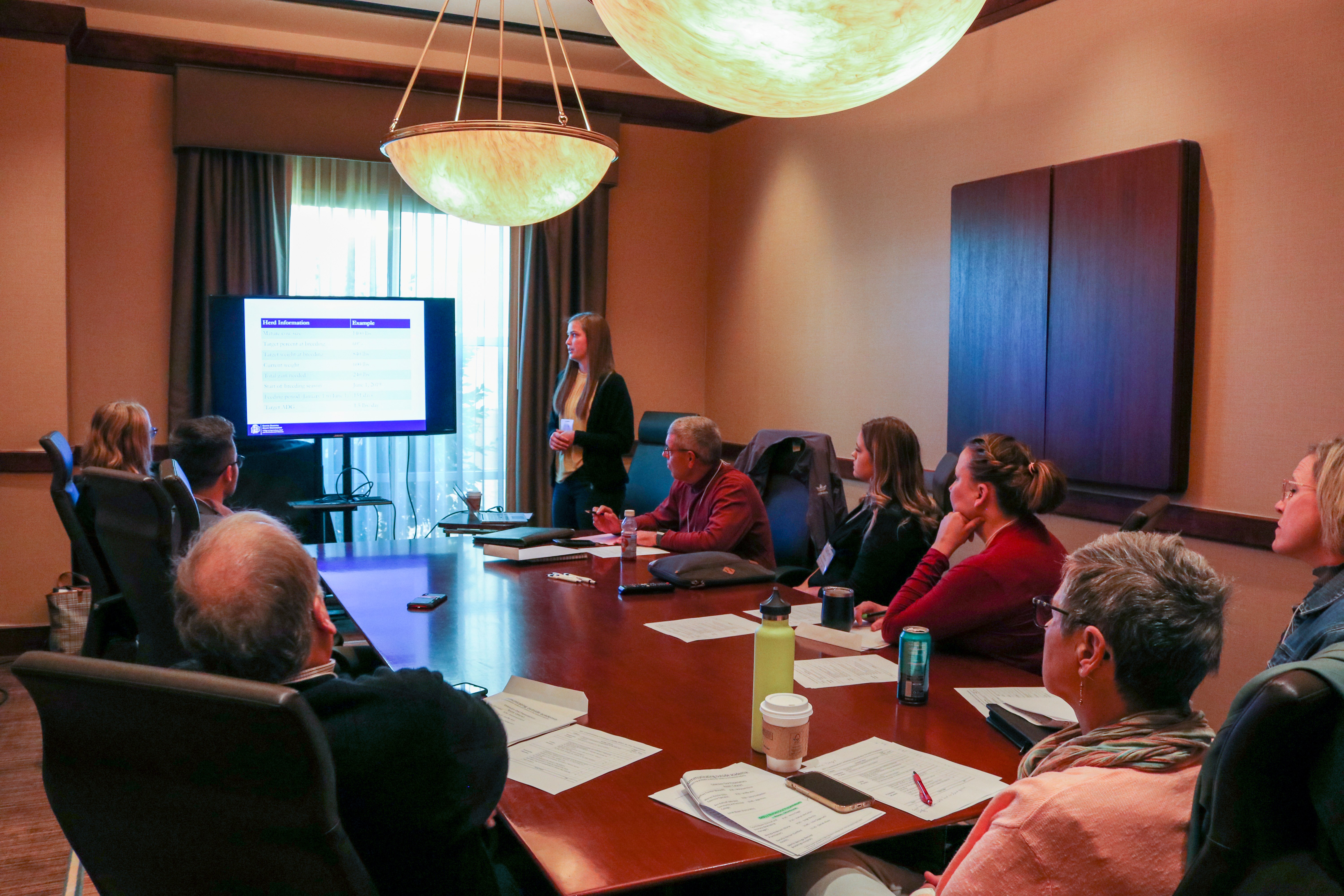 smart irrigation interface