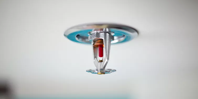 Close-up of a fire sprinkler head mounted on a white ceiling.