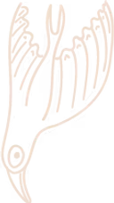 Illustration of a bird with abstract, elongated strokes in a sand beige color on a transparent background.