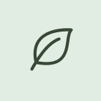 Minimalistic dark green leaf icon on a light green background.