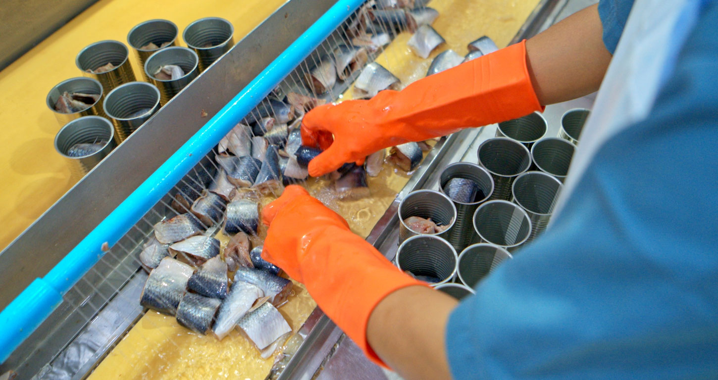 Workers in protective gear sorting shrimp on a seafood processing conveyor belt.