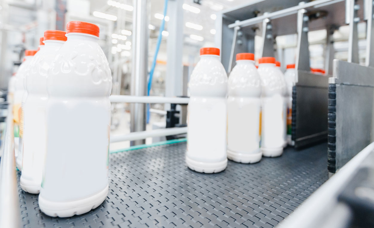 Milk gallons on a conveyor belt inside a dairy product manufacturing facility with workers and machines.