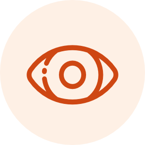 Icono de un ojo para representar la Visión.