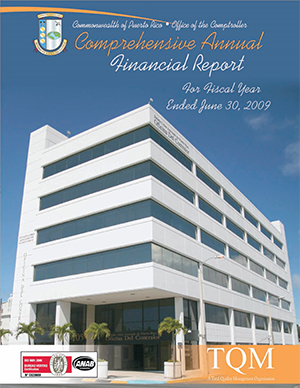 Informe Anual 2008-2009