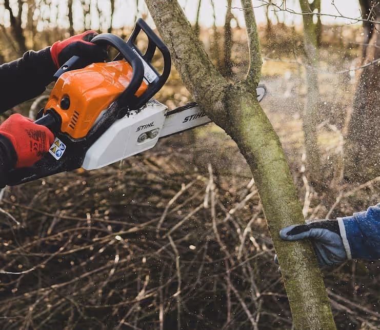 An action shot of a chainsaw trimming a tree branch.