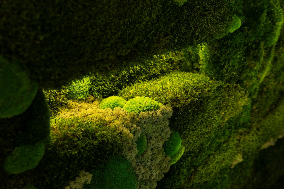 GreenAir moss wall installation in a modern interior space