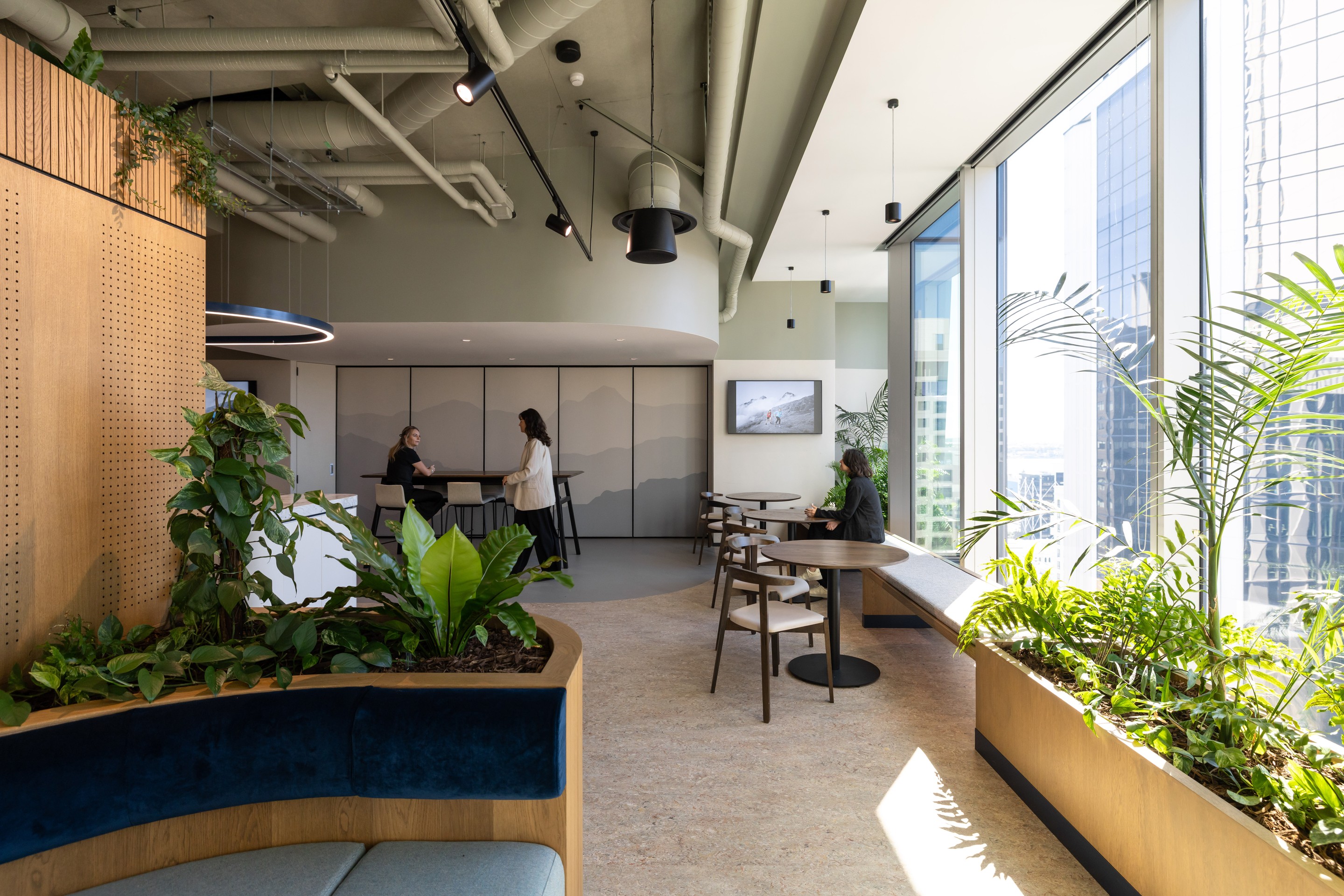 GreenAir plant installation along office corridor at Milford Asset Finance with timber planters