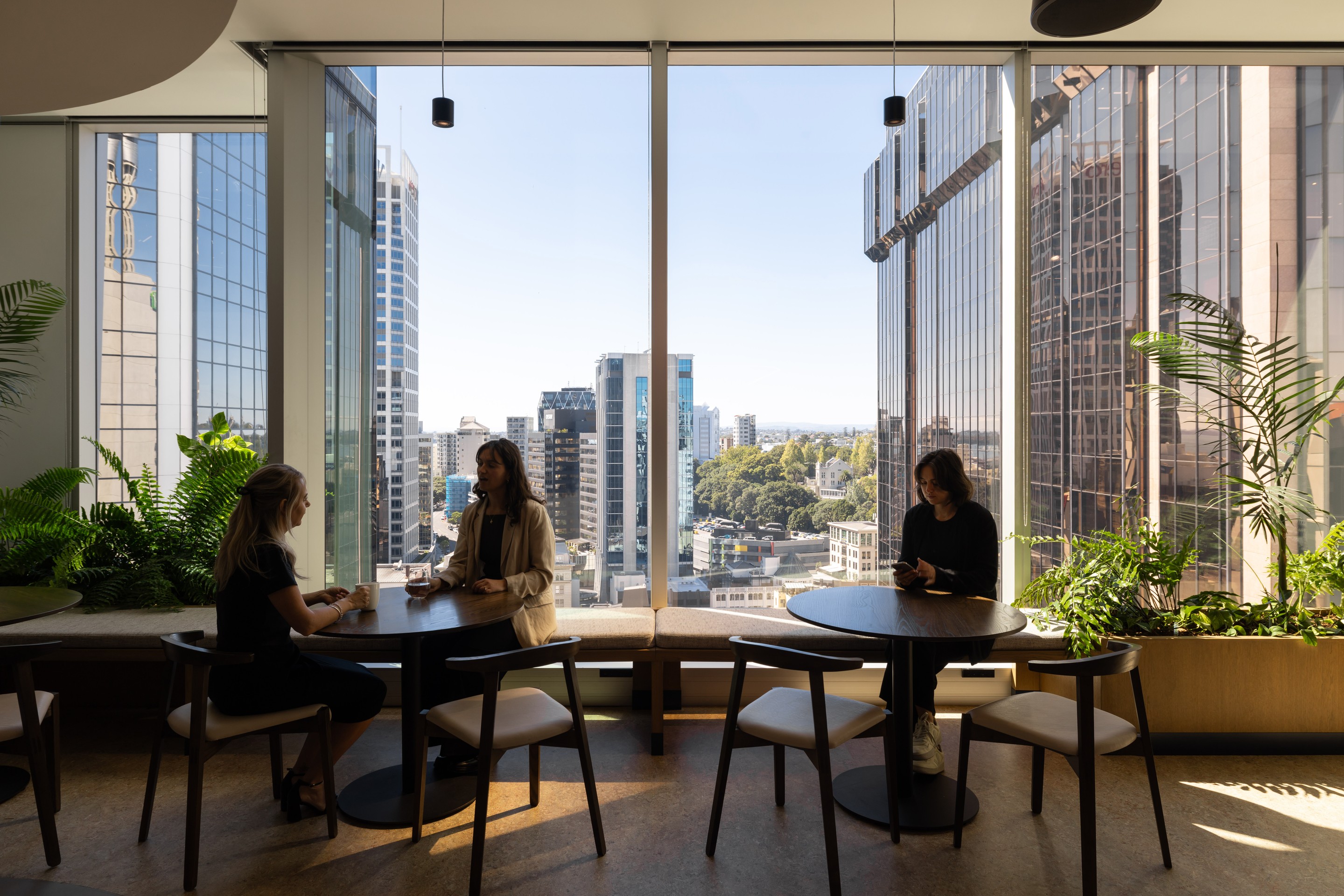 High-rise office with panoramic Auckland skyline views and GreenAir wooden planters at Milford Asset Finance