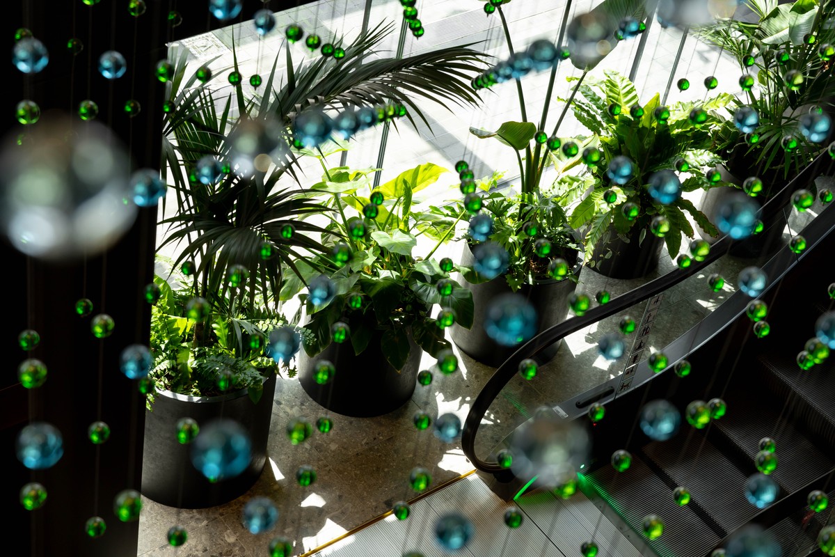 GreenAir interior planting for Deloitte Centre Auckland CBD