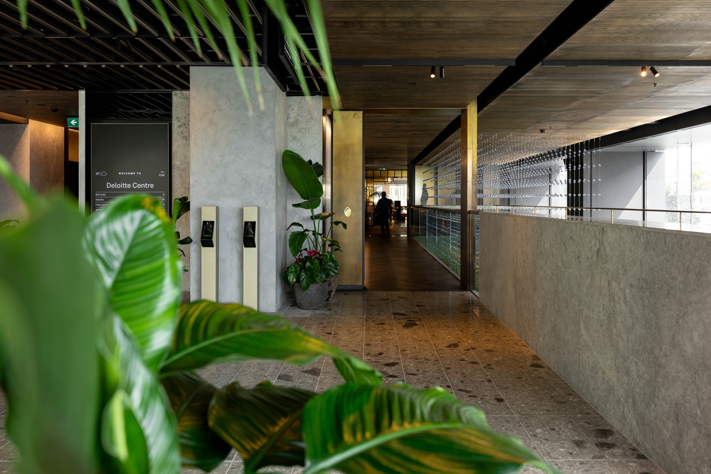 GreenAir plant design at Deloitte Centre Auckland CBD bringing biophilic warmth to premium corporate workspace