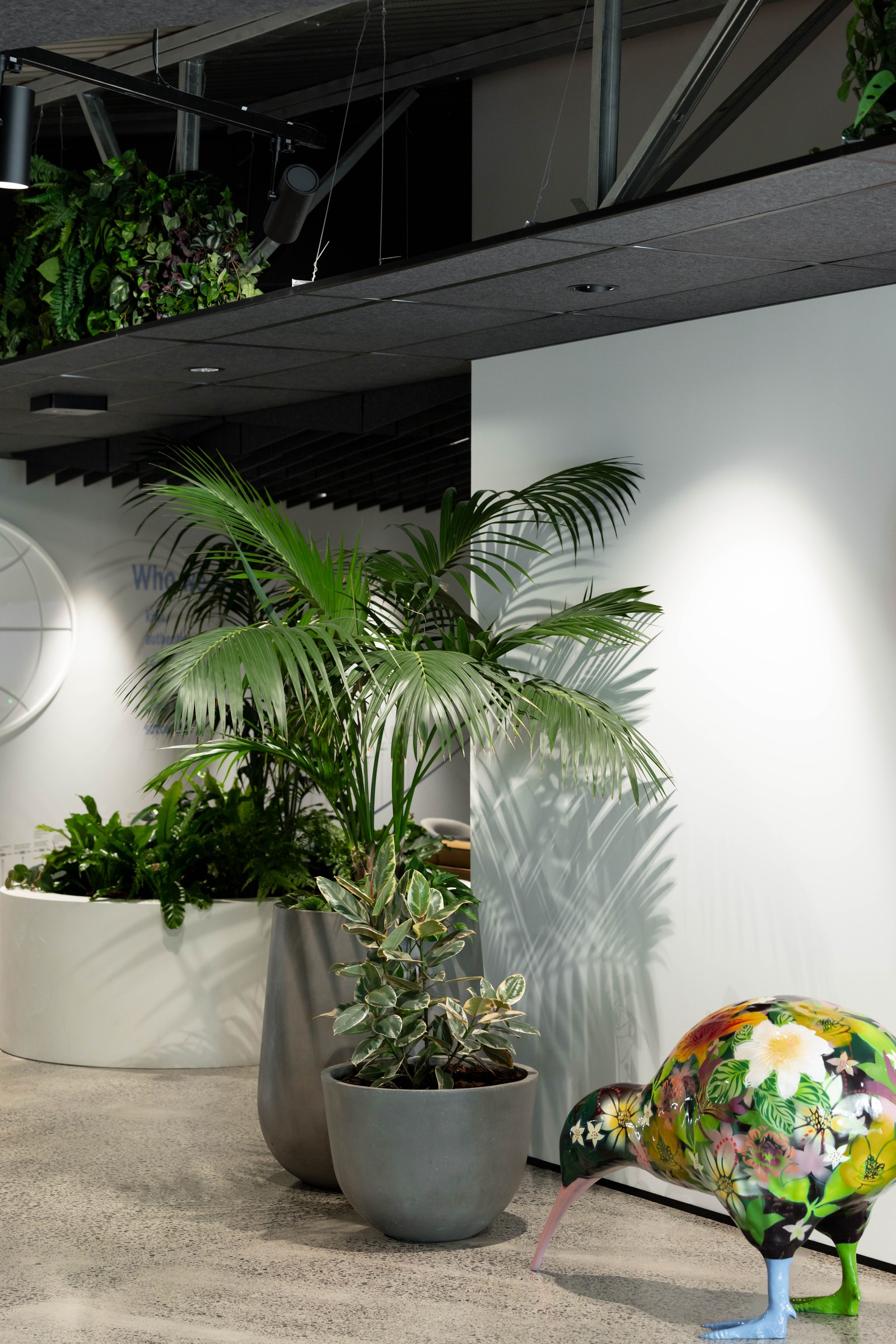 GreenAir maintained indoor plants at Gallagher Hamilton creating a healthier productive commercial office workspace
