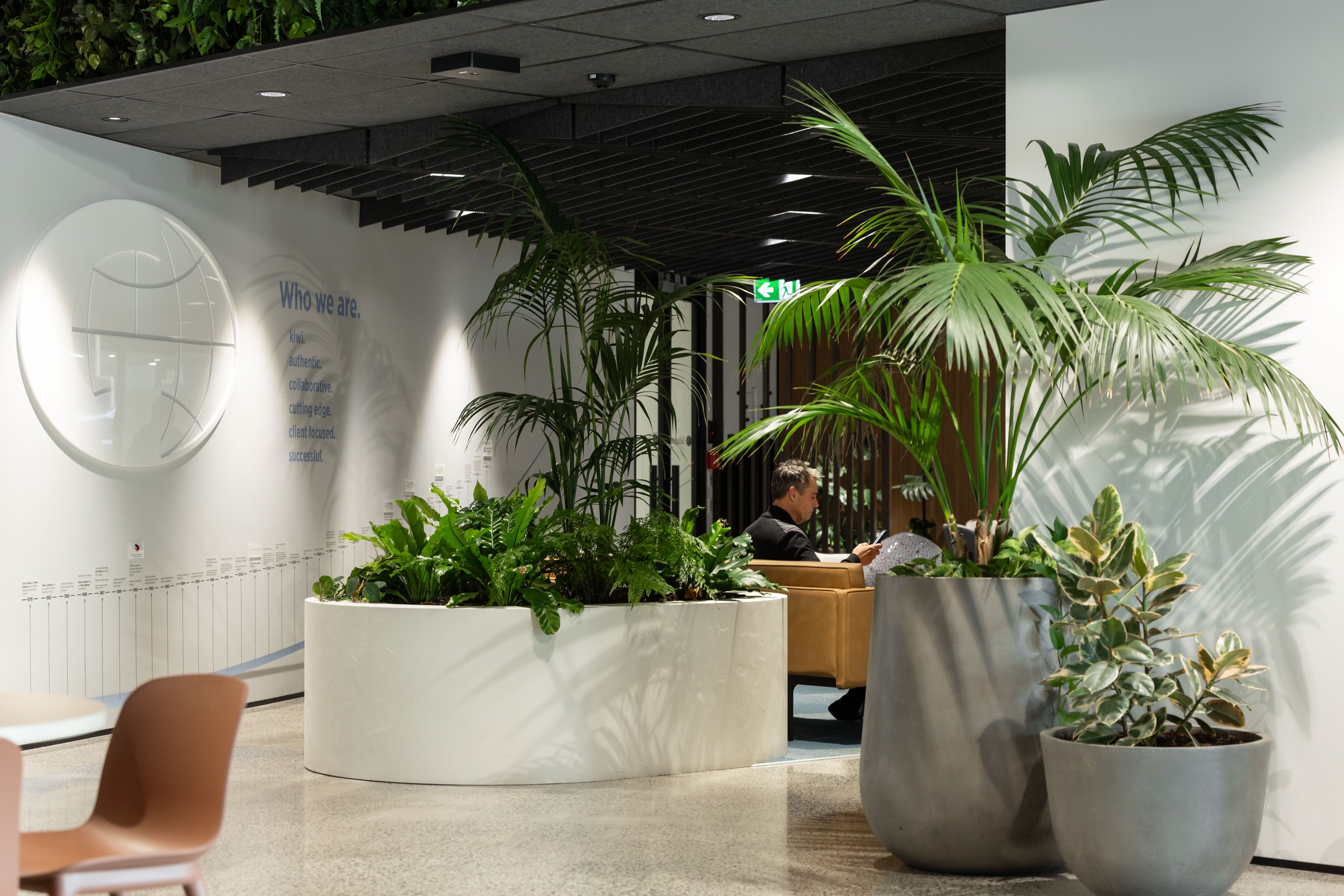 GreenAir commercial plant installation at Gallagher Hamilton with diverse indoor species transforming office common areas
