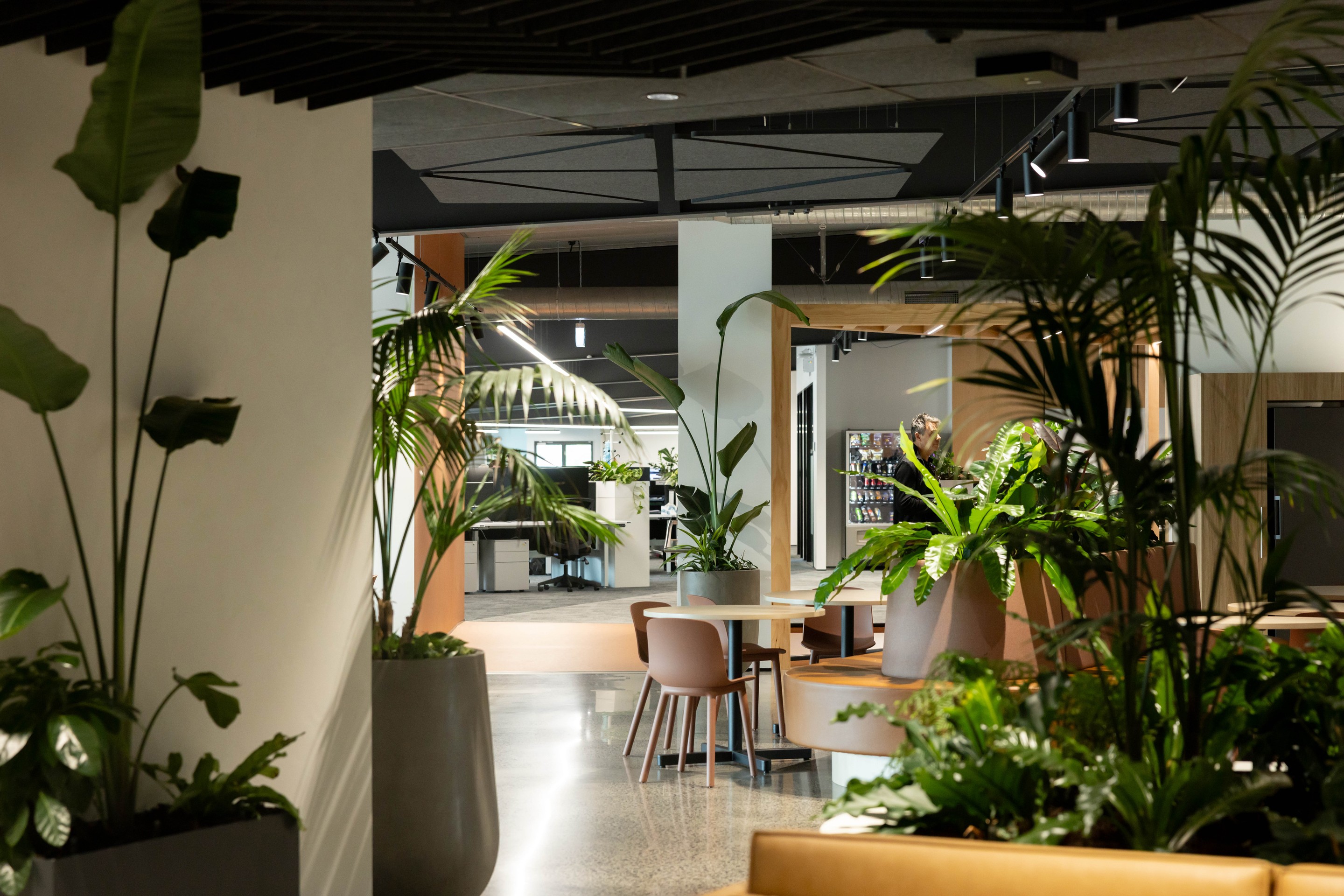 GreenAir plant design at Gallagher Hamilton bringing biophilic warmth to premium corporate workspace