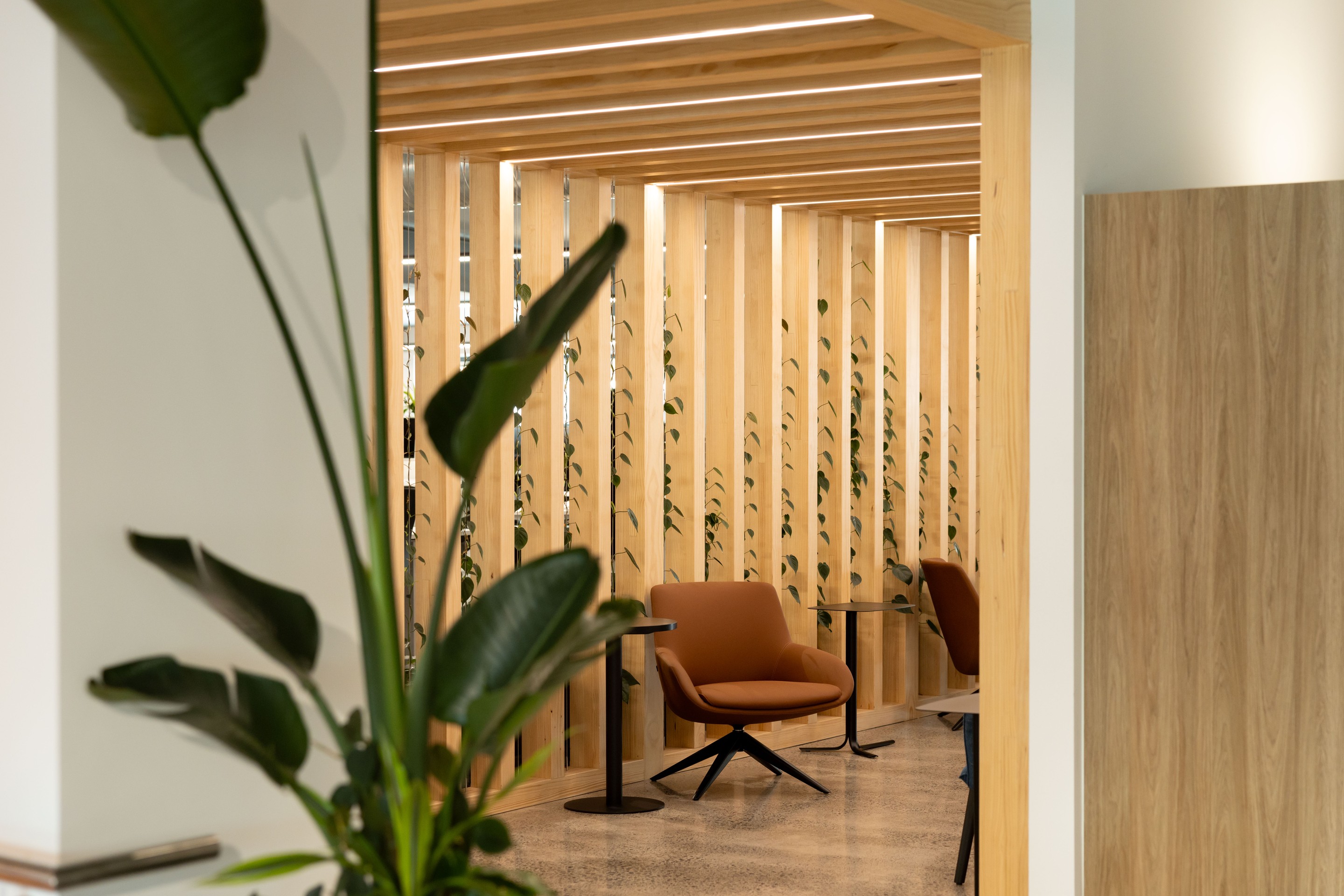 Gallagher Hamilton commercial office interior with GreenAir designed planting creating biophilic workspace