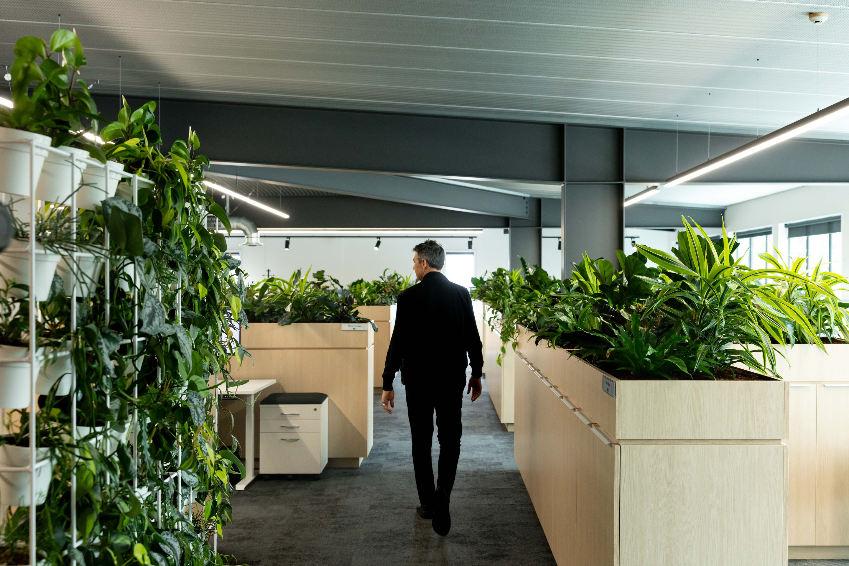GreenAir plant design — commercial workspace with strategic greenery placement at Gallagher