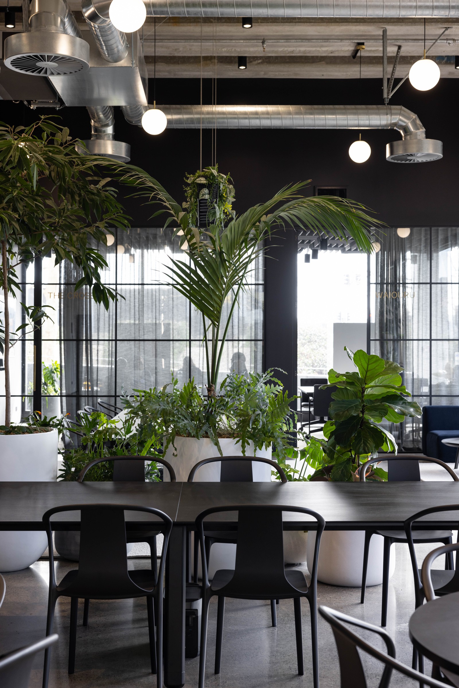 GreenAir curated indoor plants at Johnson Corner Auckland with species selected for premium commercial interior conditions
