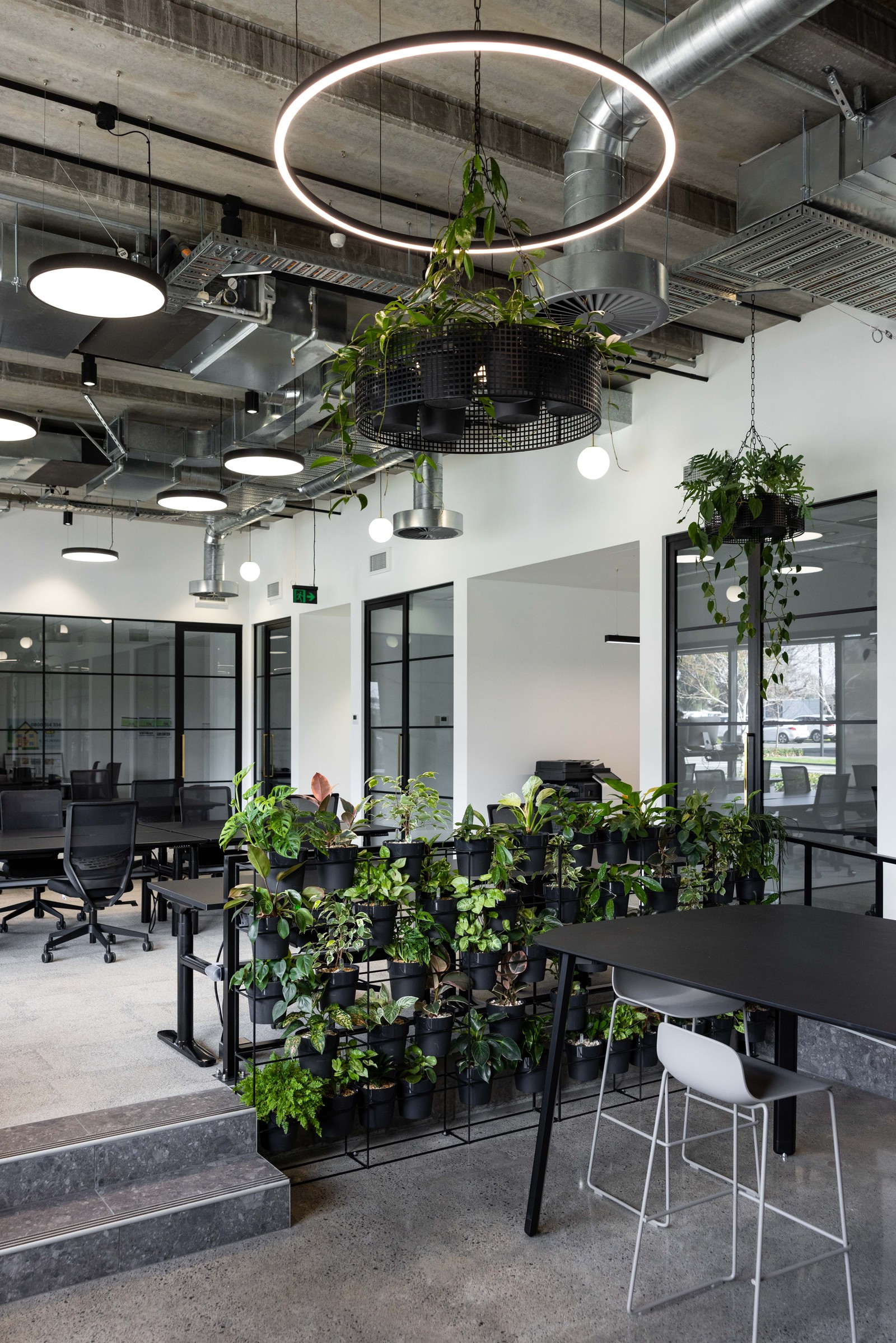 GreenAir commercial plant installation at Johnson Corner Auckland with diverse indoor species transforming office common areas