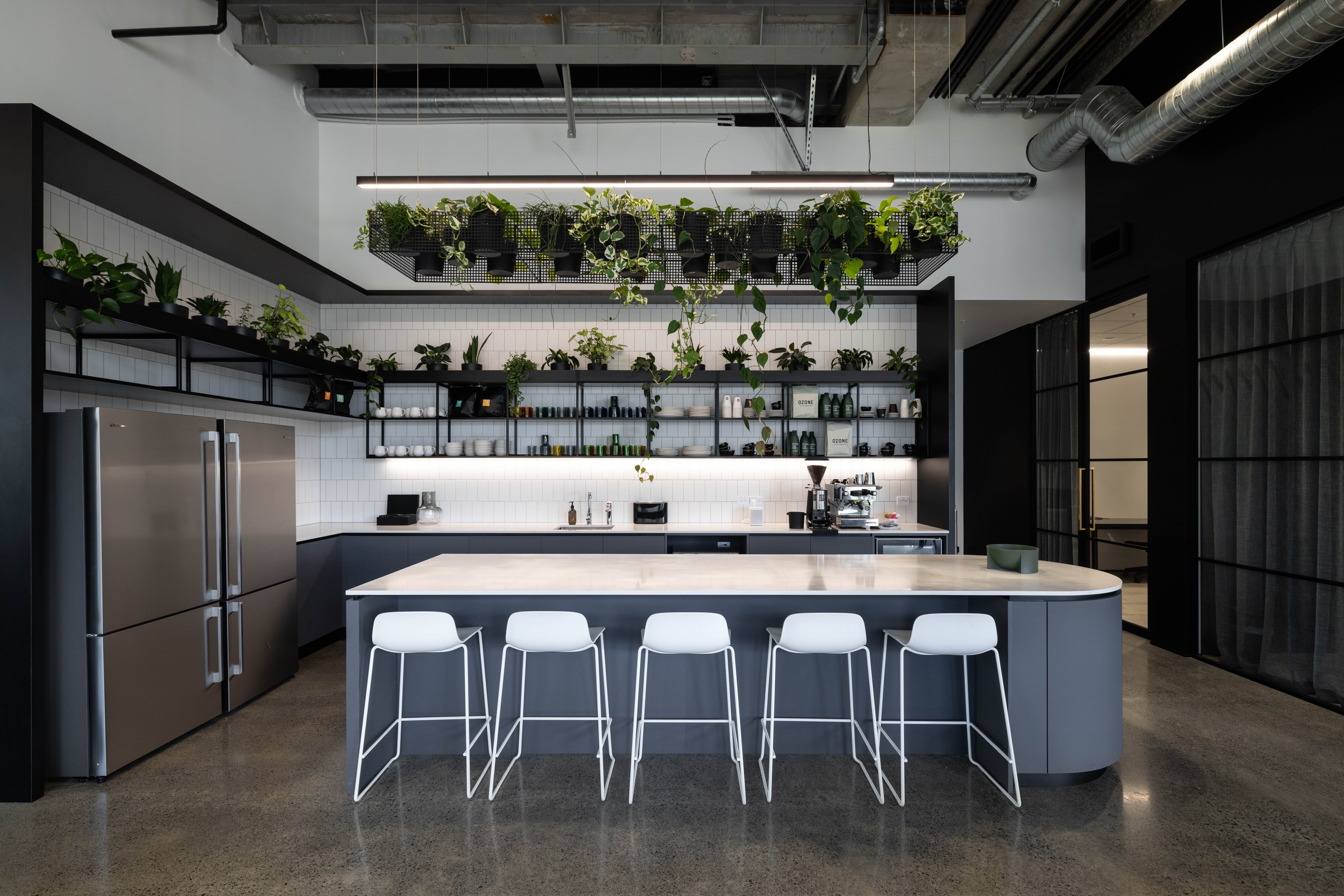 Johnson Corner Auckland commercial interior with GreenAir curated planting creating biophilic design throughout the workspace