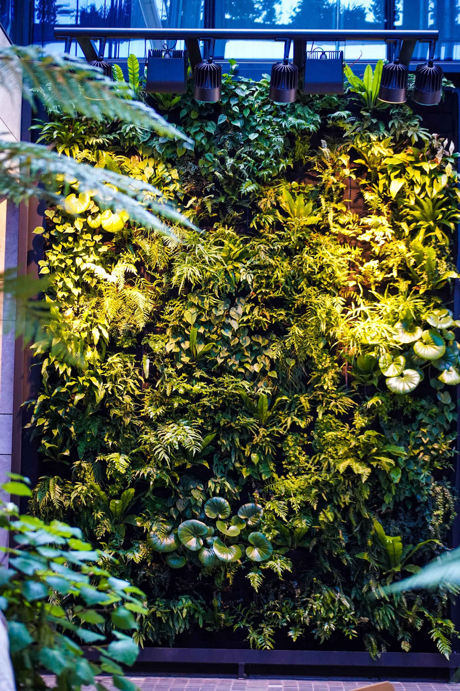 GreenAir living green wall detail at Hotel Grand Chancellor Auckland