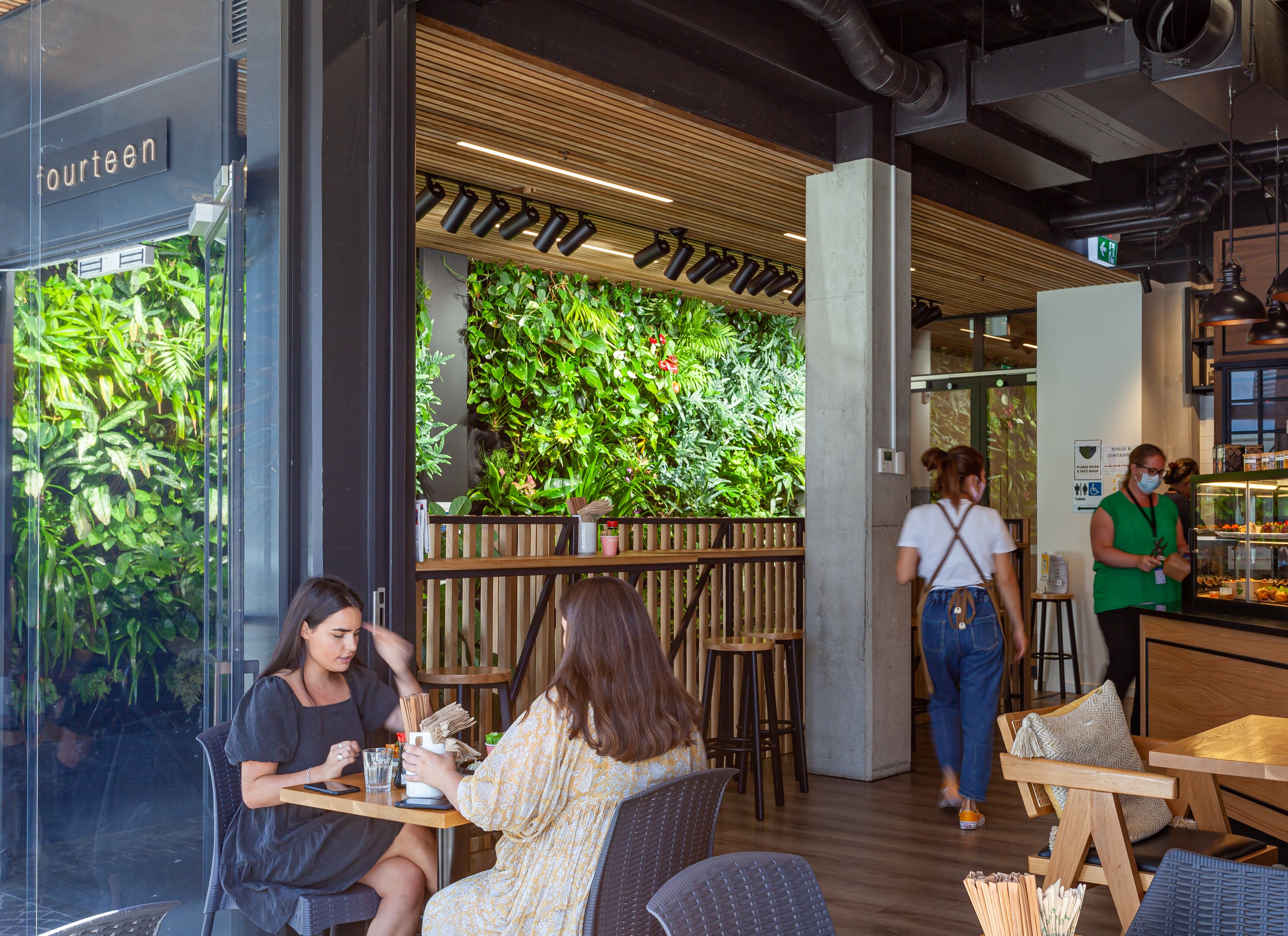Interior planting by GreenAir at Hoppers Head Office Auckland elevating the commercial workspace