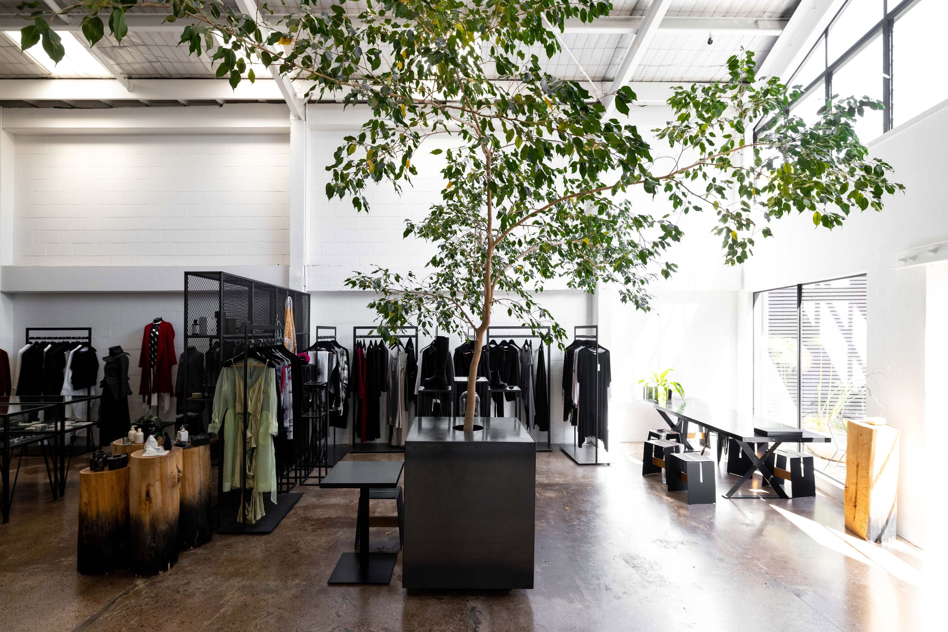 The Shelter designer fashion store indoor tree installation by GreenAir Auckland