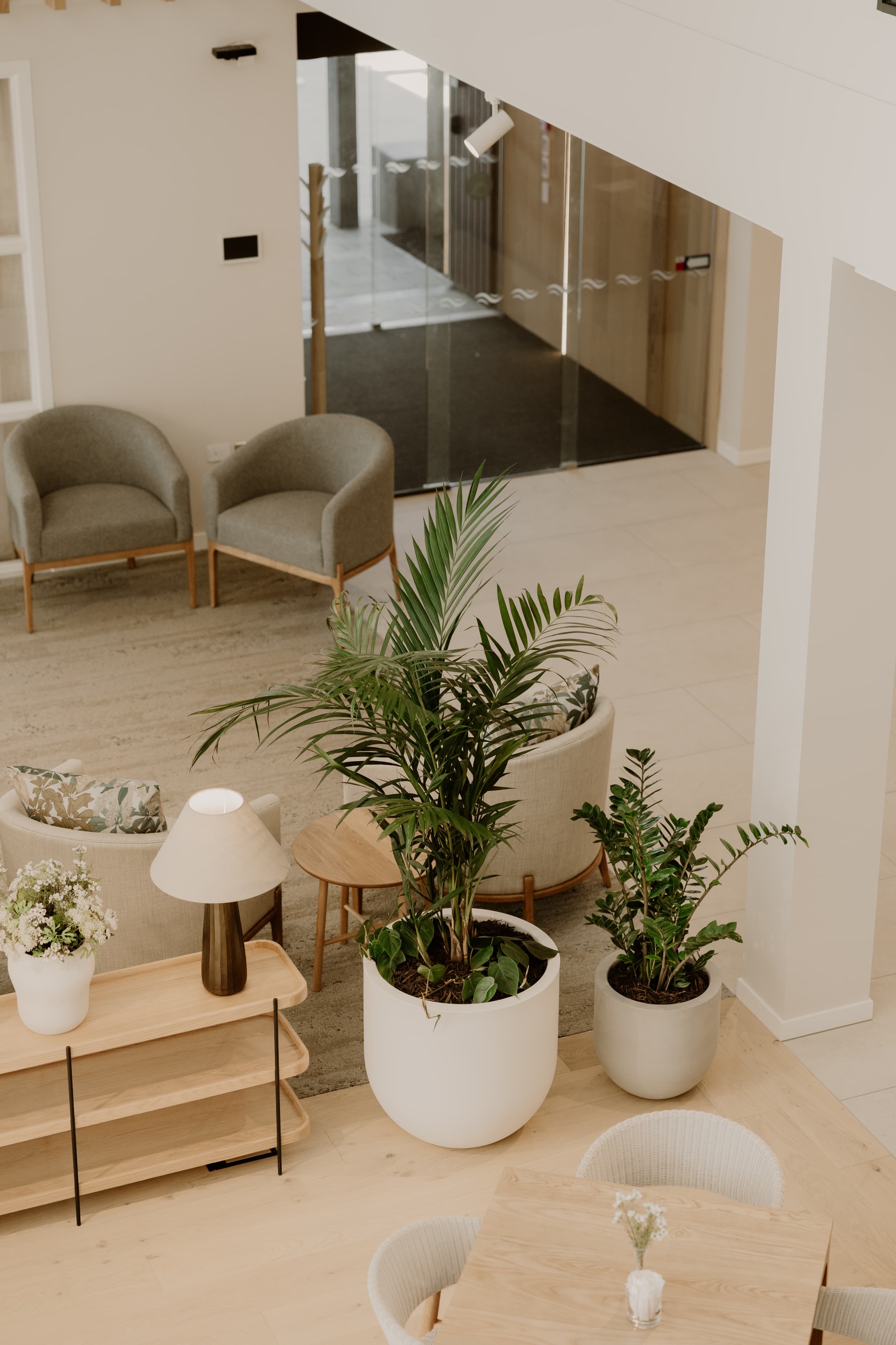 Indoor plant design by GreenAir at Arvida retirement village Auckland featuring lush greenery transforming commercial interiors