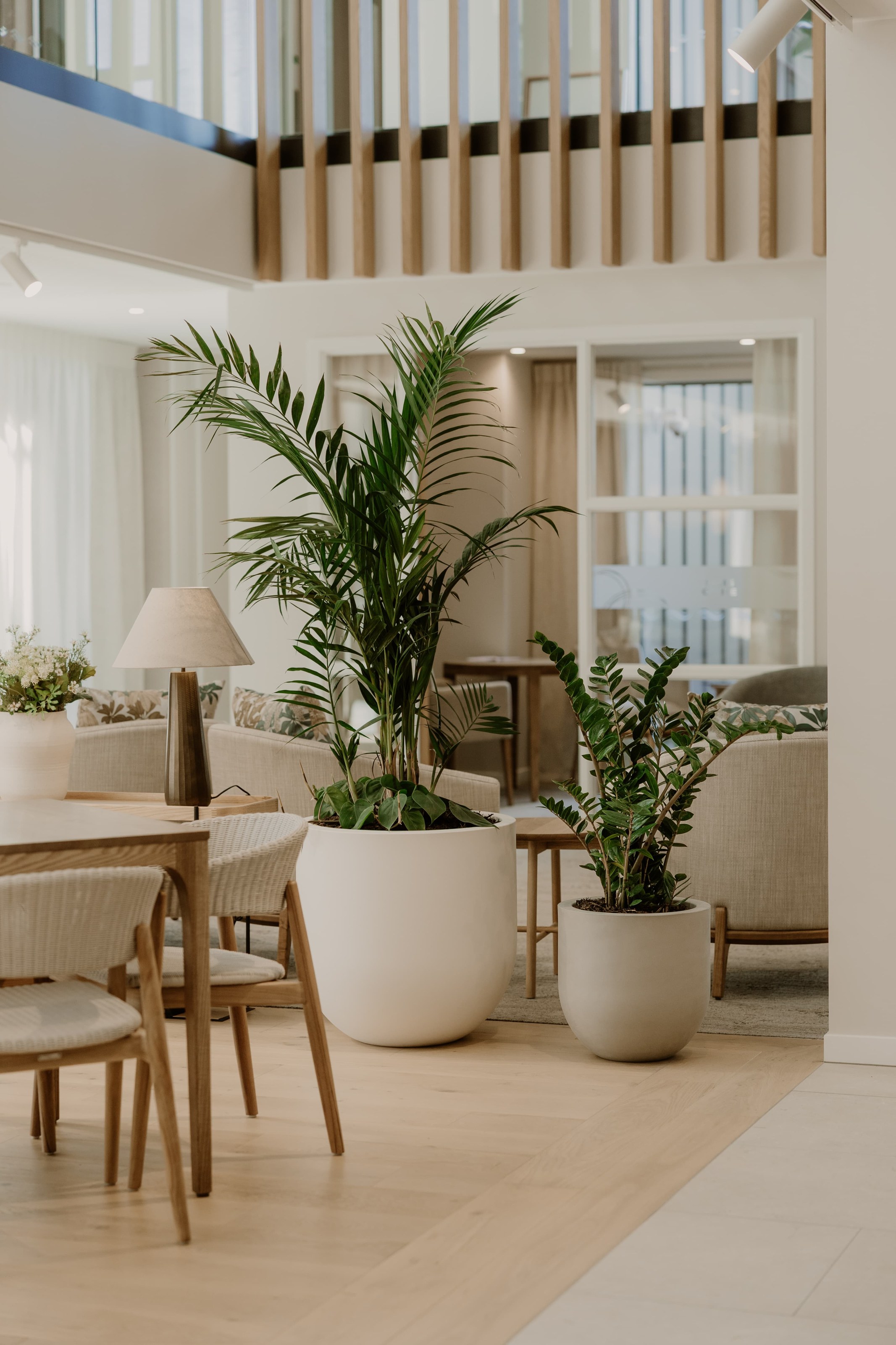 Statement plant arrangements creating welcoming spaces at Arvida by GreenAir indoor plant specialists