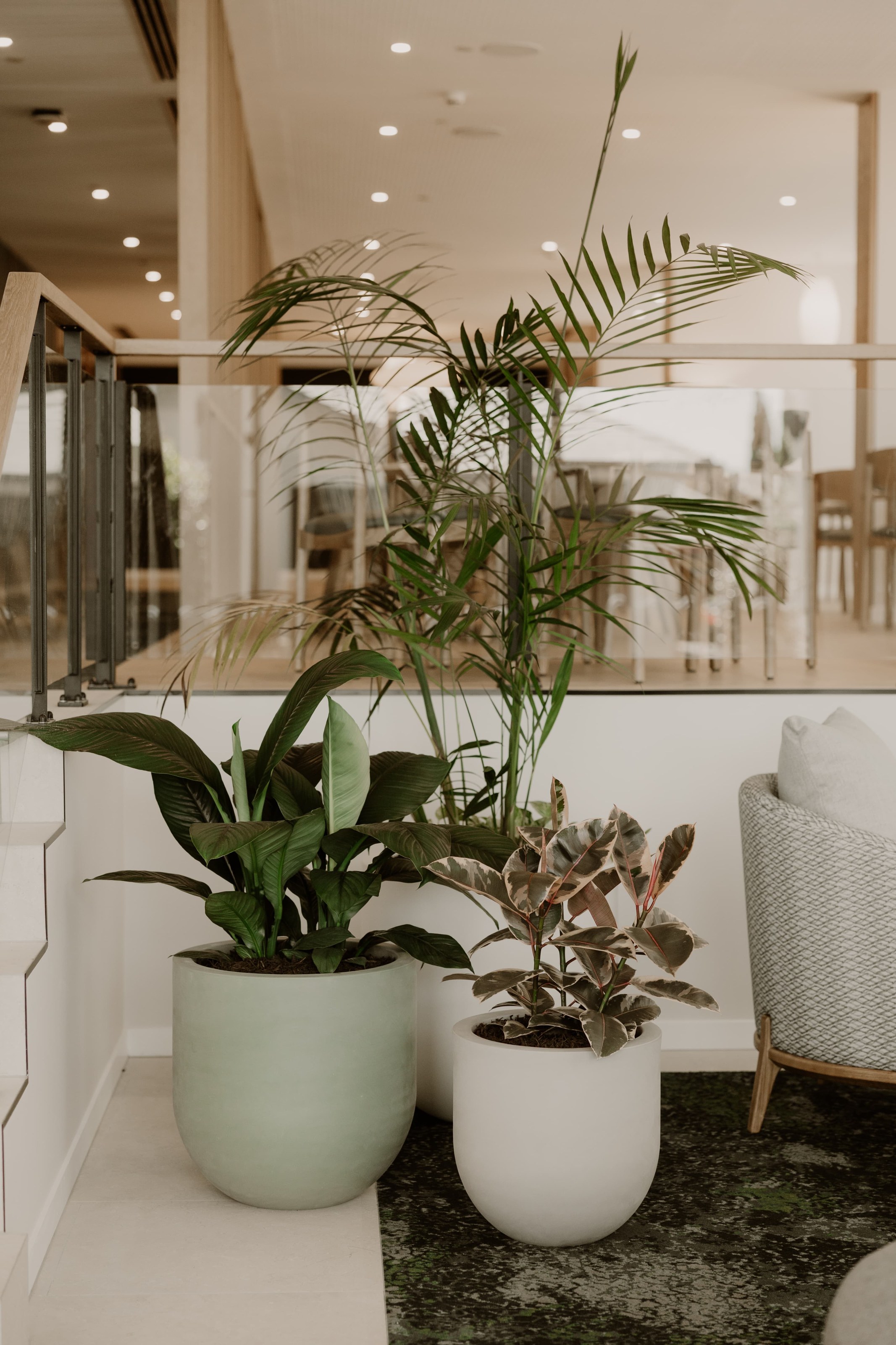 Premium indoor plantscaping by GreenAir transforming Arvida retirement living environments Auckland