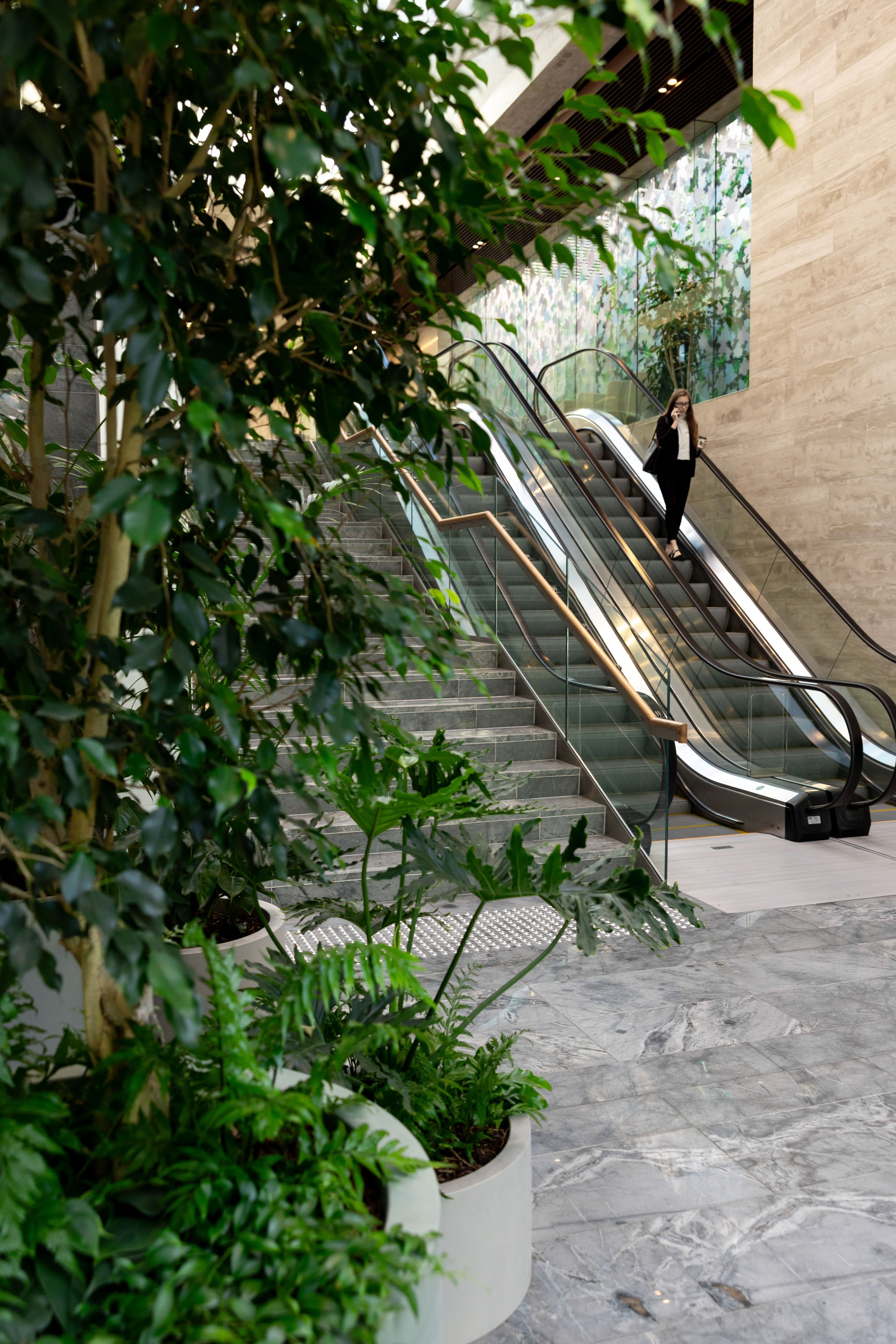 Large scale indoor planting at ANZ Centre Auckland featuring tropical greenery integrated into open plan commercial office floor design by GreenAir