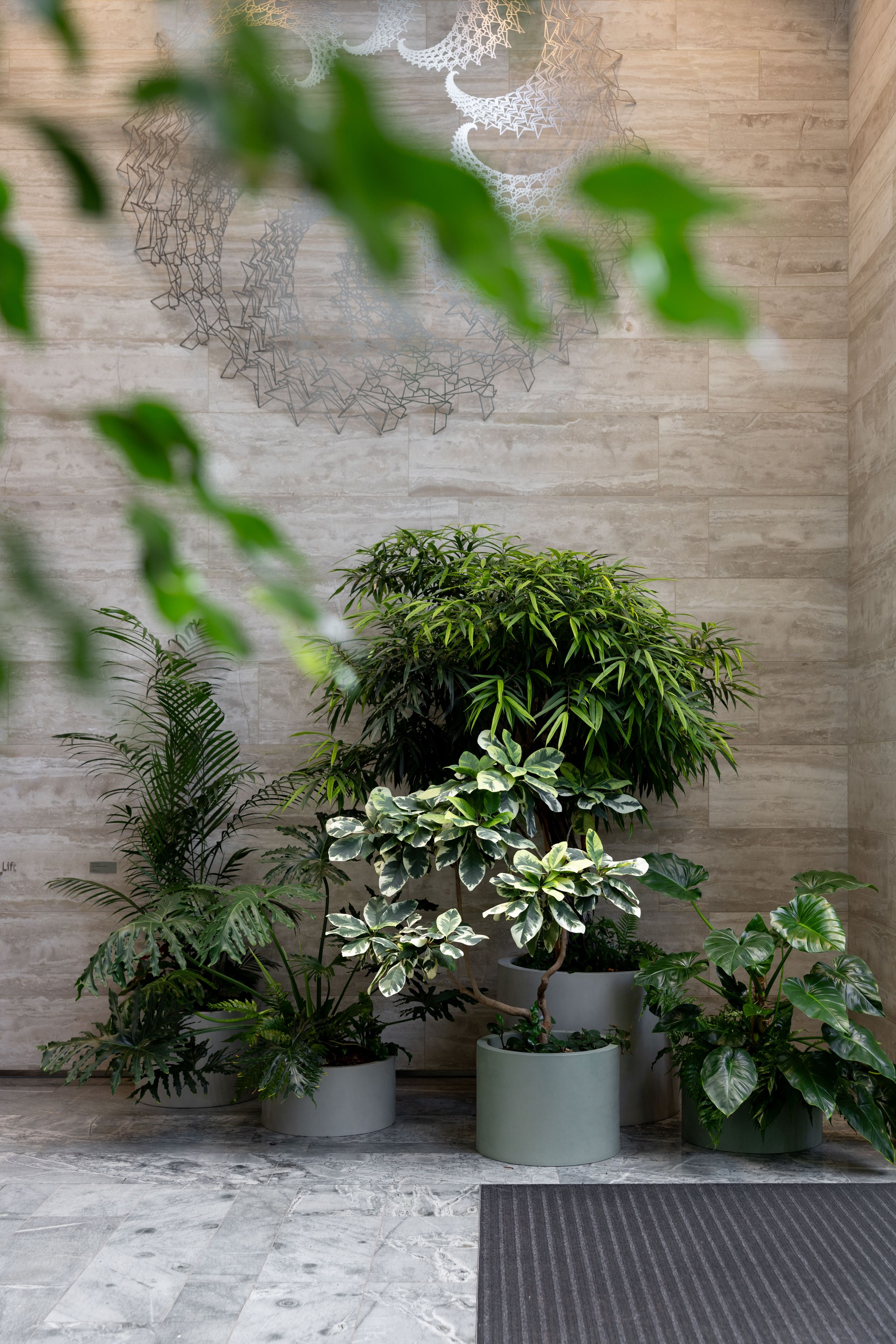 GreenAir maintenance team caring for indoor plants at ANZ Centre Auckland ensuring consistent lush greenery across all twelve commercial office floors