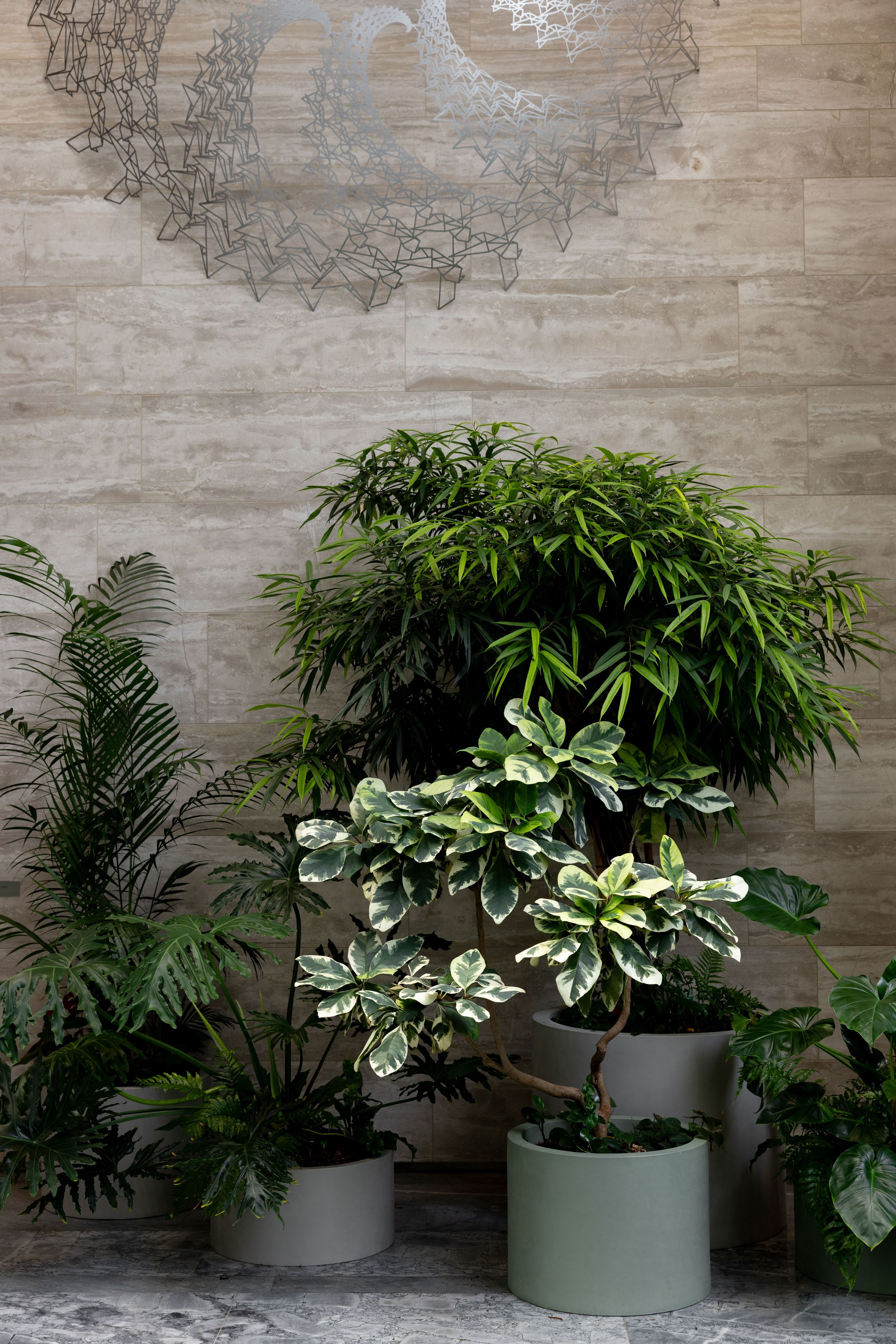 Biophilic design at ANZ Centre Auckland with curated indoor plants creating a natural atmosphere in the commercial workspace lobby