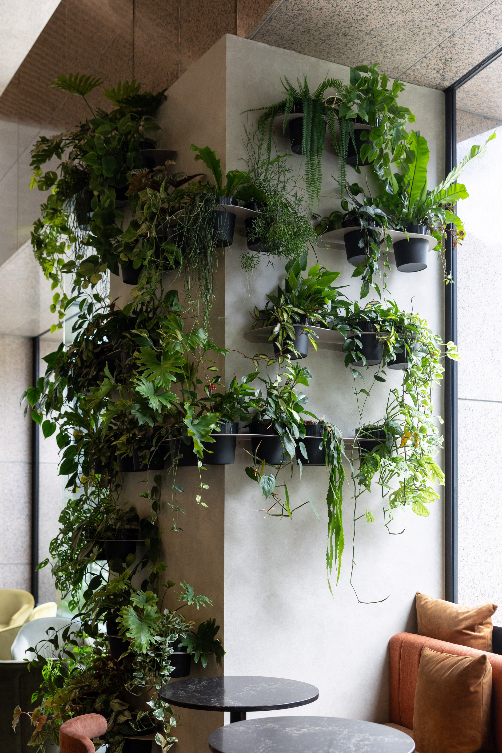 GreenAir living green wall at ANZ Centre Auckland with lush layered foliage beside a breakout lounge