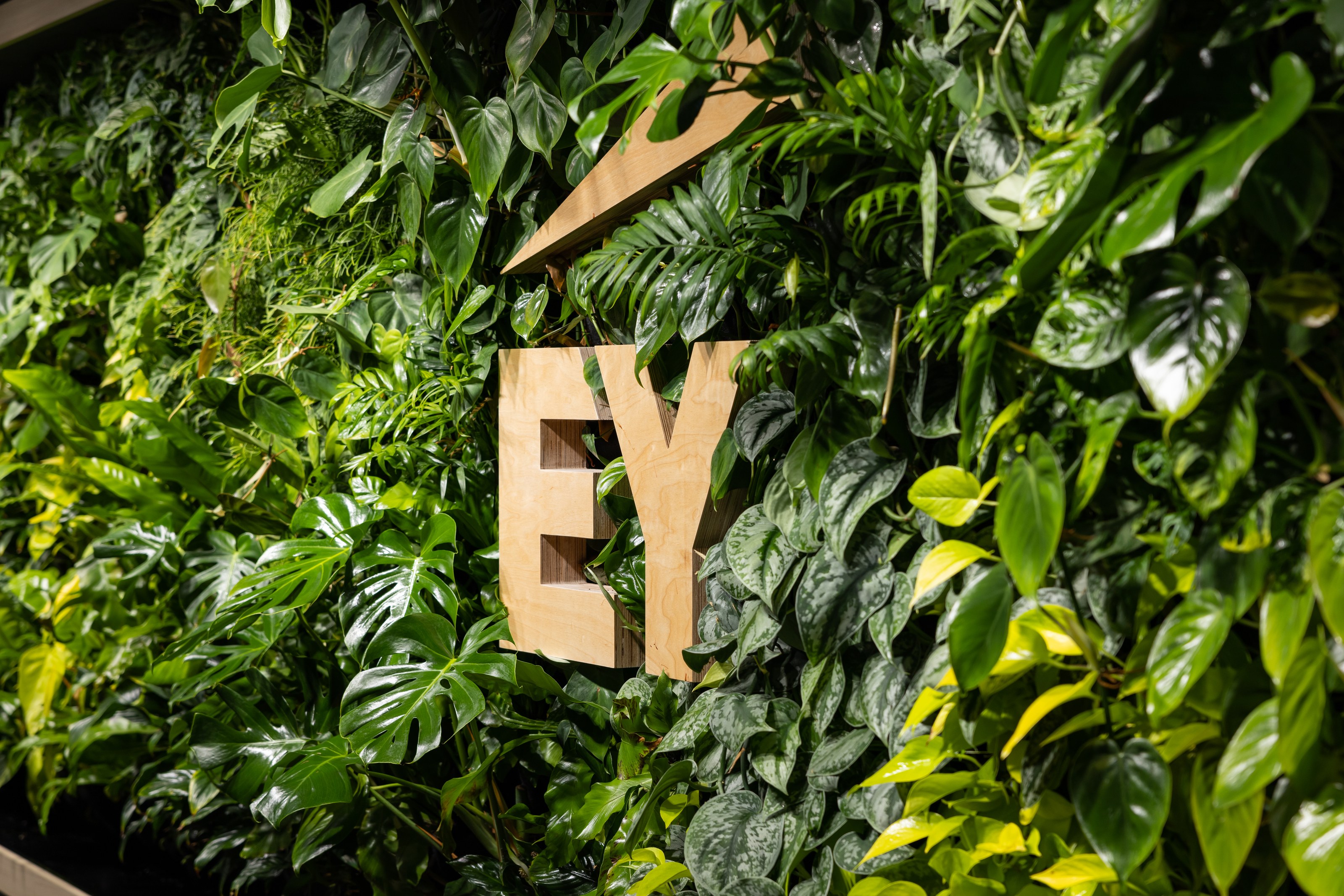 GreenAir architectural planting at EY Wellington office