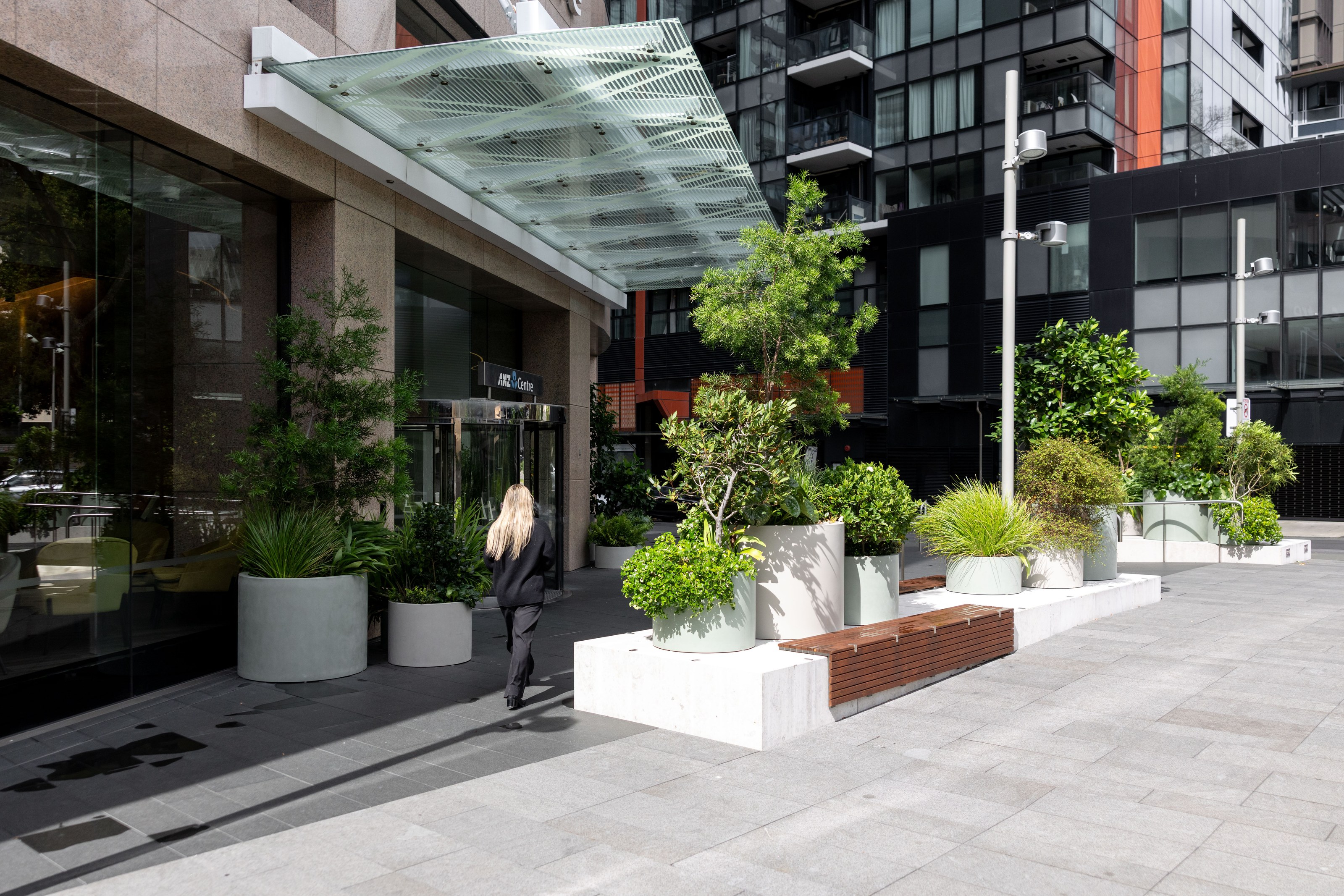 Detail of GreenAir curated plant arrangement at ANZ Centre Auckland showcasing carefully selected species for optimal indoor office conditions