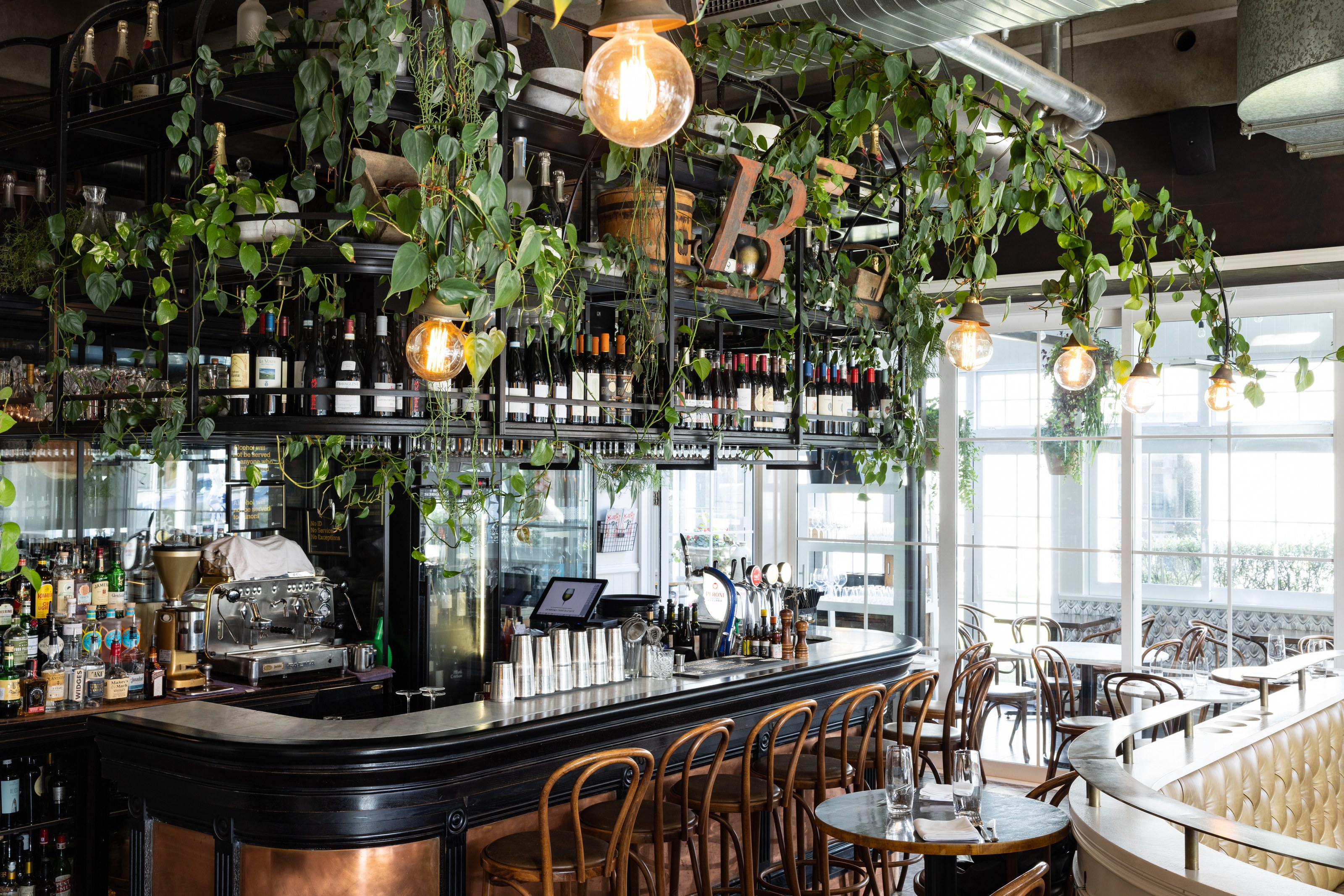 Tropical plant arrangements creating atmosphere at Baduzzi restaurant by GreenAir indoor plant specialists