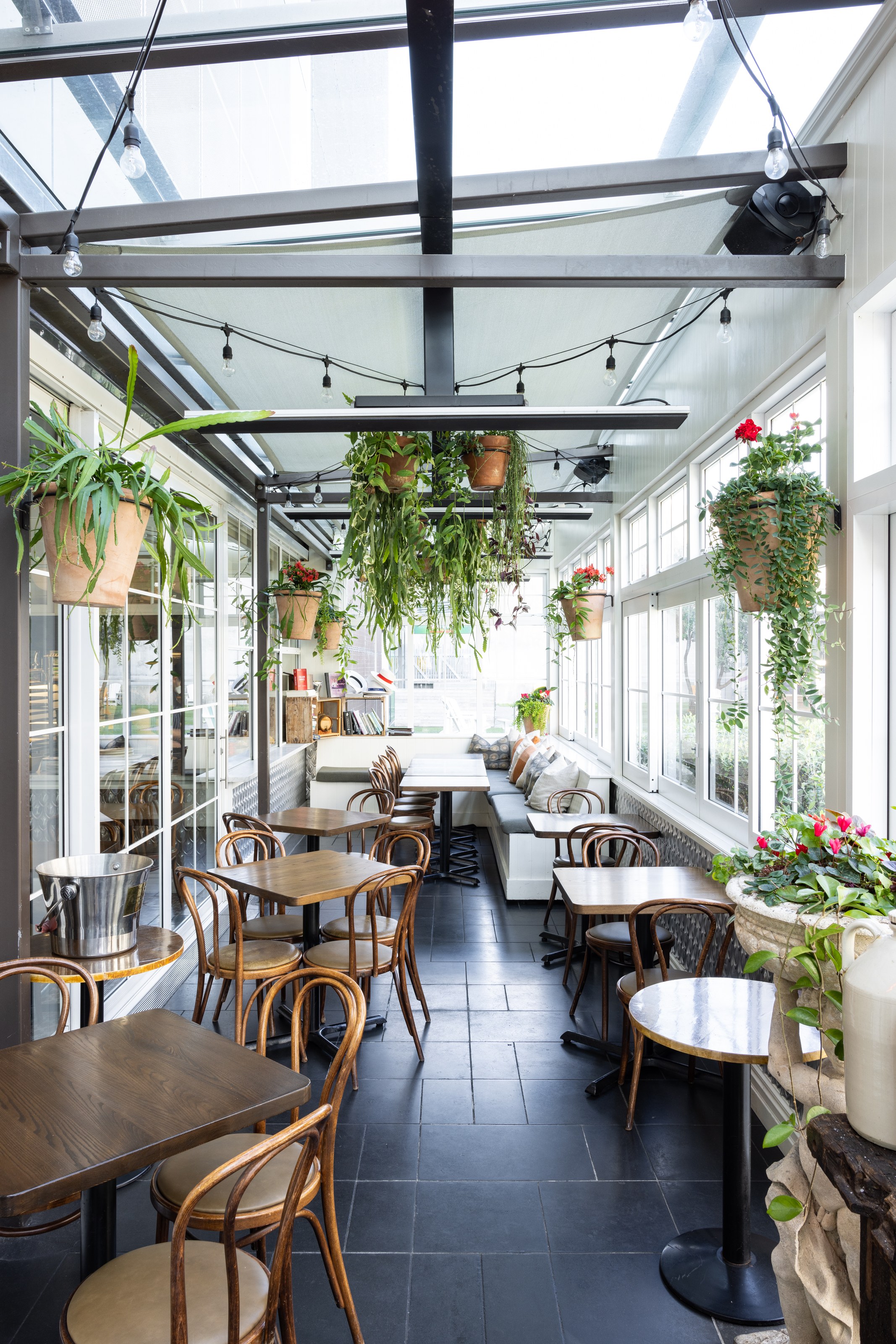 Statement plants transforming Baduzzi dining space Wynyard Quarter by GreenAir hospitality plant design NZ