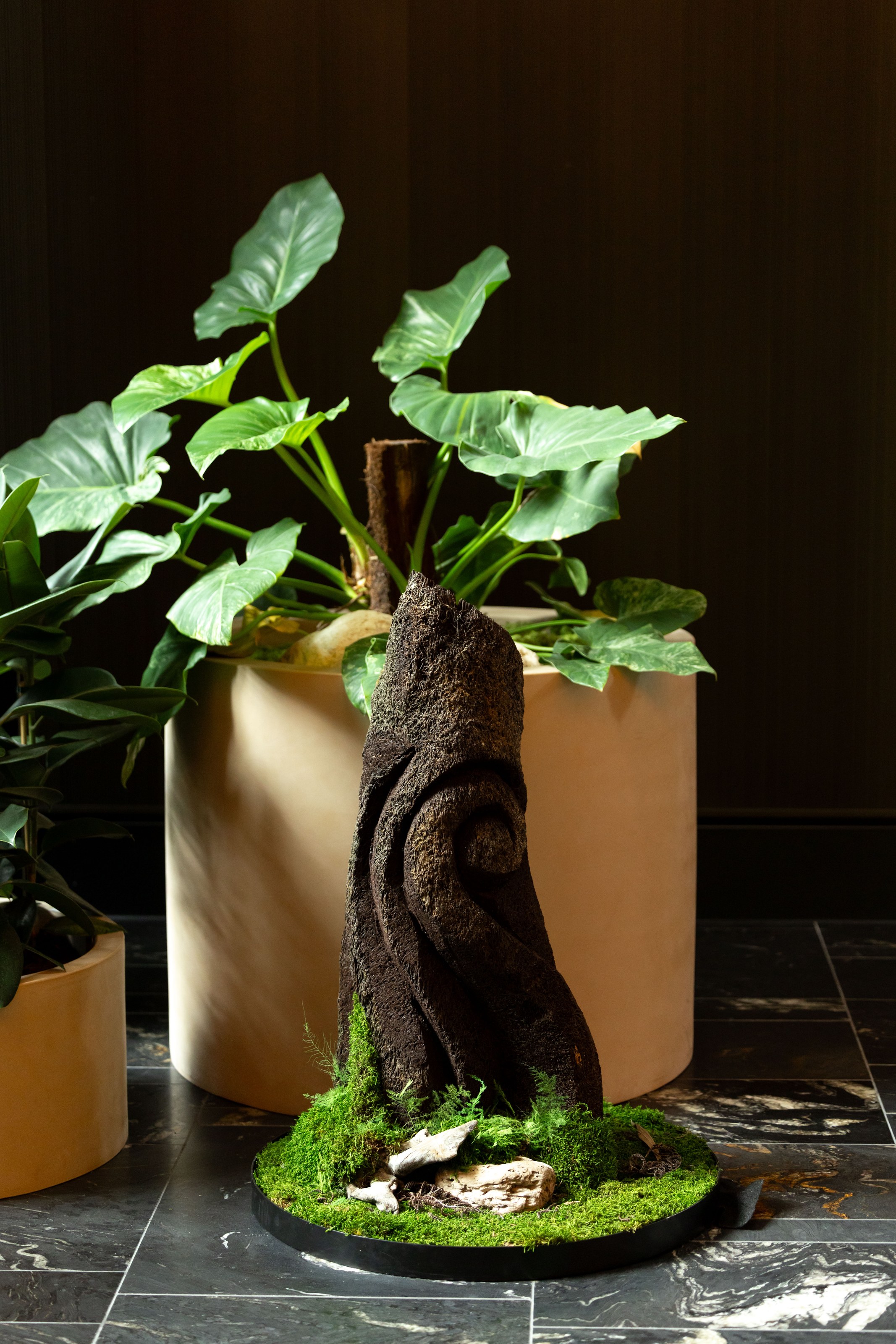 Indoor greenery by GreenAir transforming NZICC Auckland convention centre corridors into inviting biophilic walkways