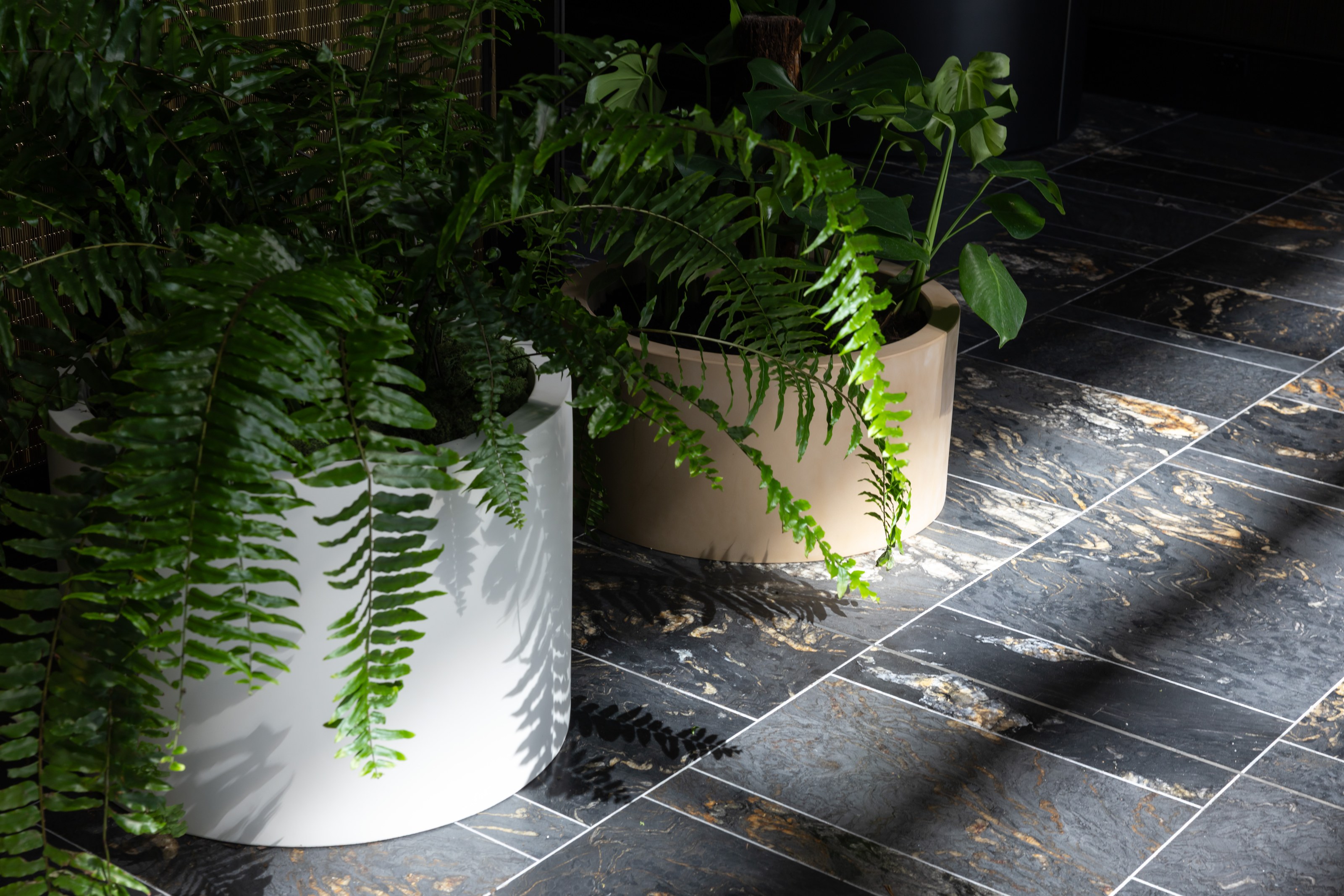 GreenAir curated indoor plants in NZICC Auckland breakout spaces with air-purifying Aglaonema and Spathiphyllum creating calm delegate areas