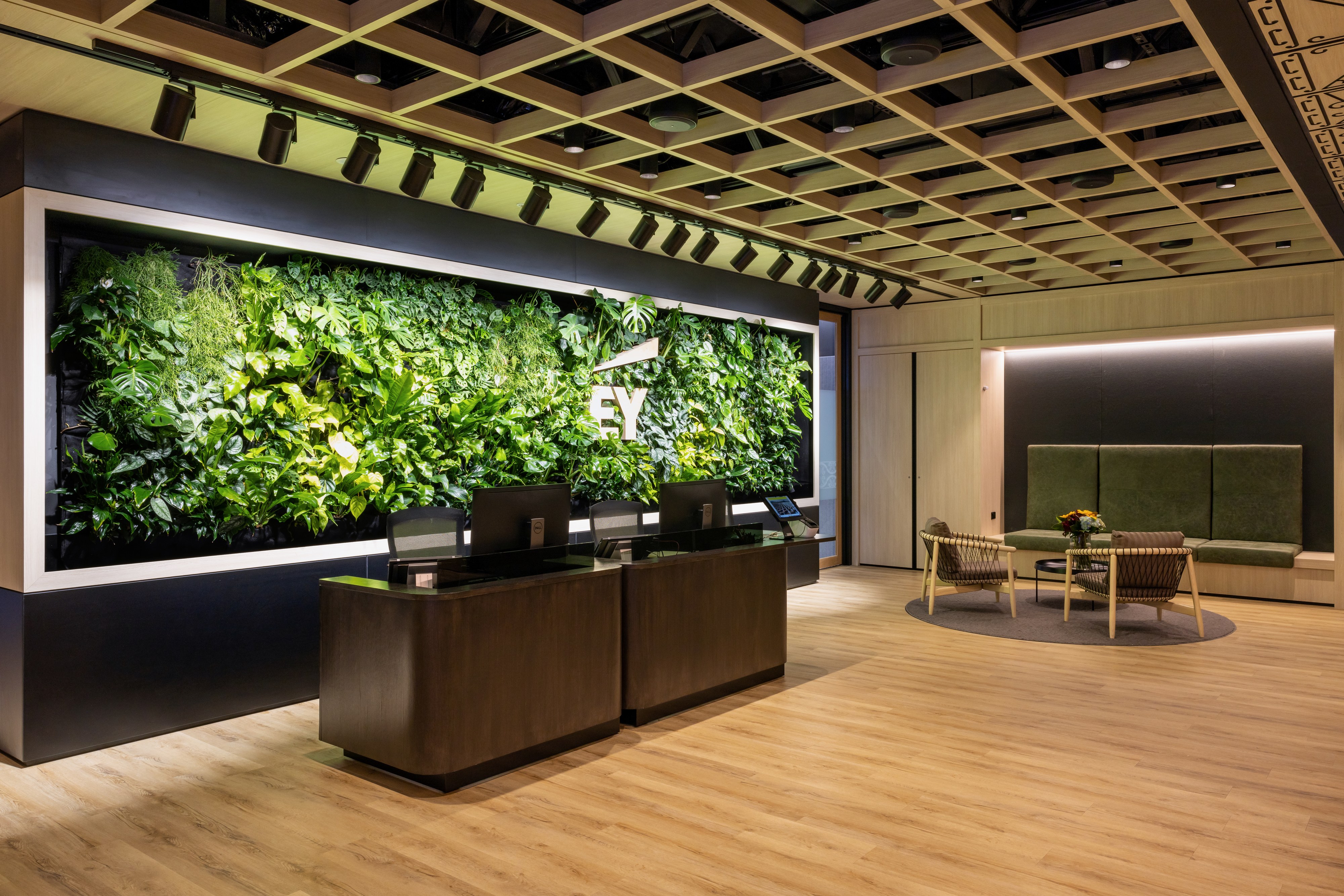 GreenAir commercial plant installation at Ernst & Young Wellington office showcasing premium indoor greenery design