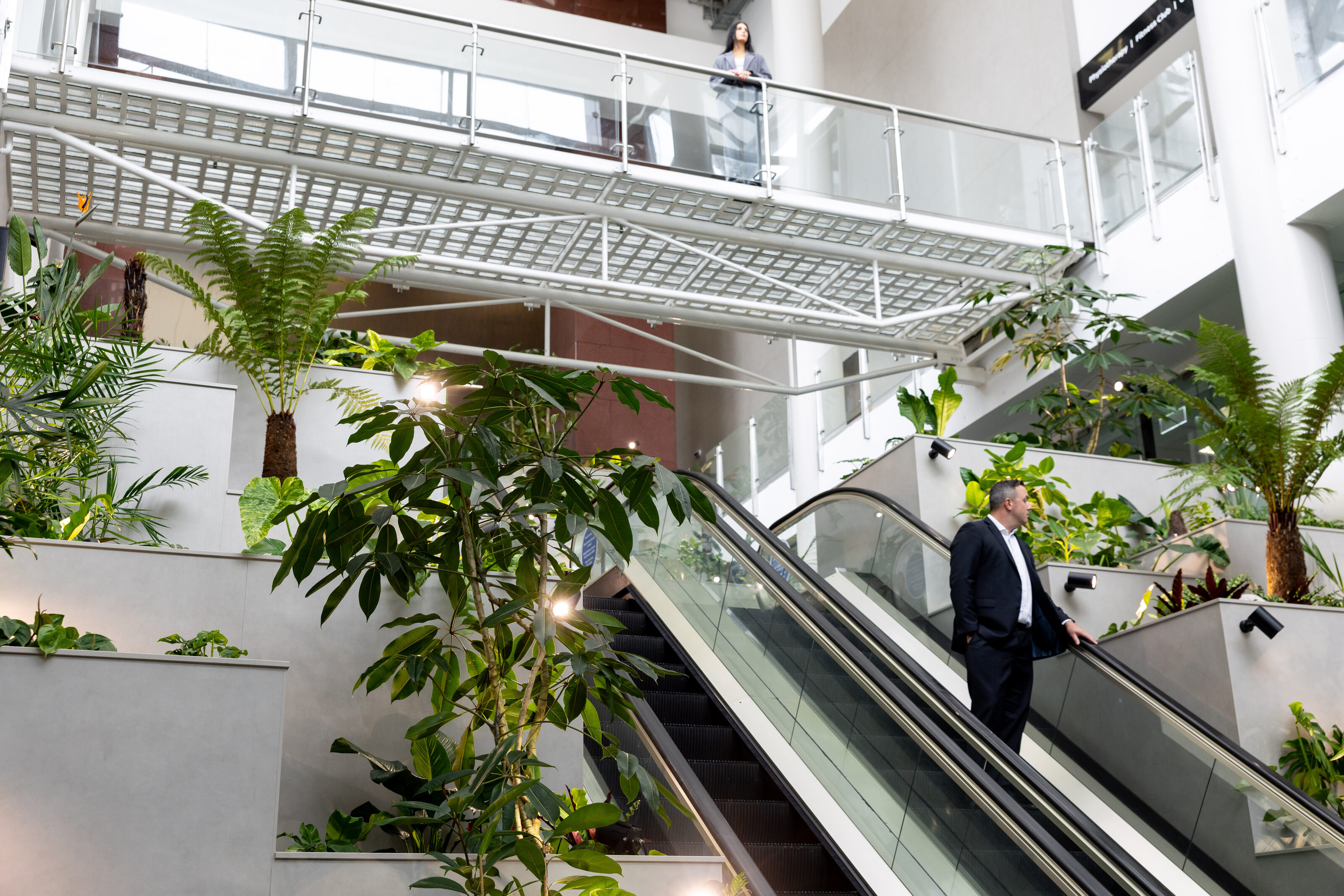 The layered planting of Majestic Centre rising through the escalator atrium, tree-fern canopy above and denser shrubs and groundcover below, a New Zealand forest structure brought indoors