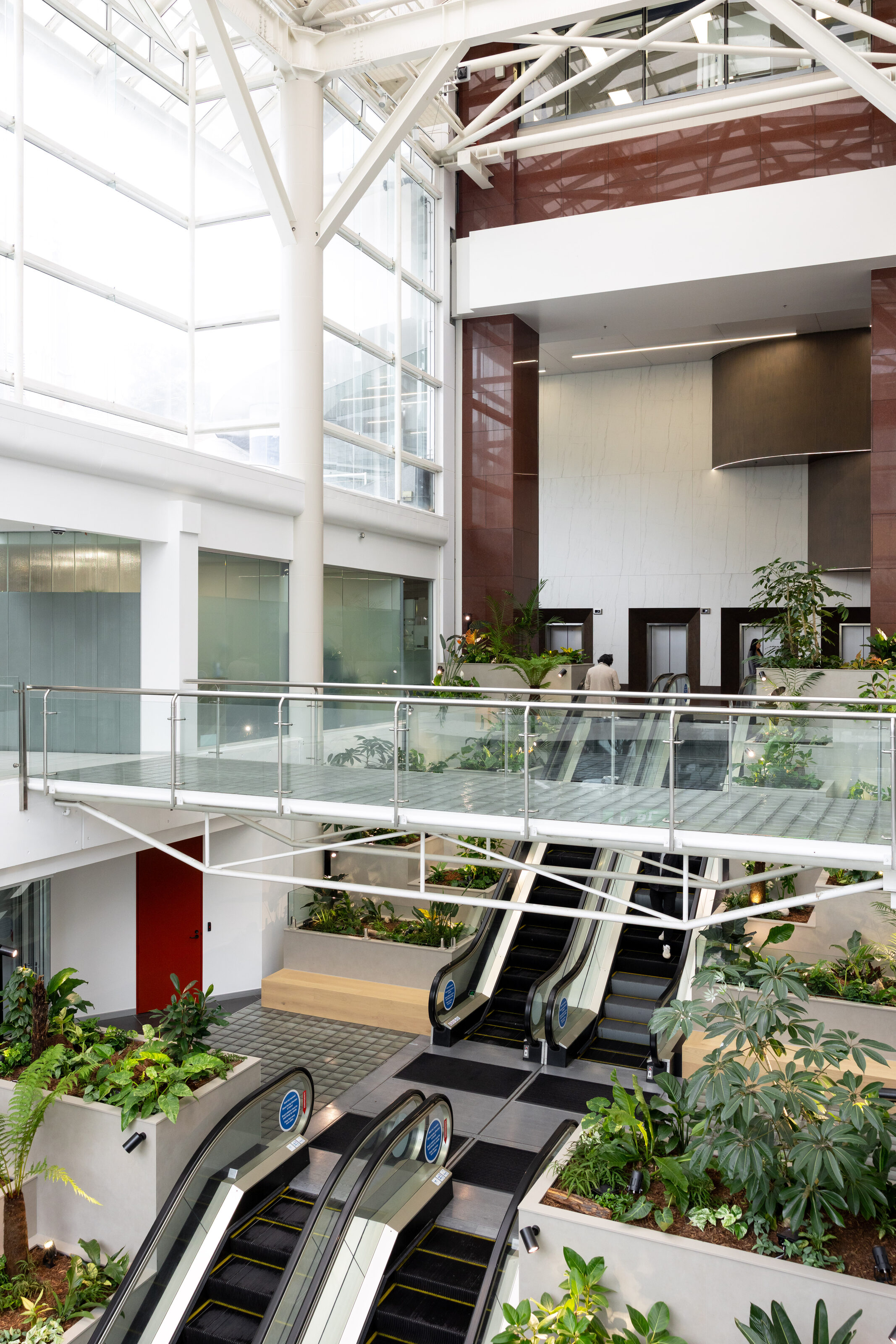 The full two-level atrium at Majestic Centre under its glass roof, greened across both sides by GreenAir