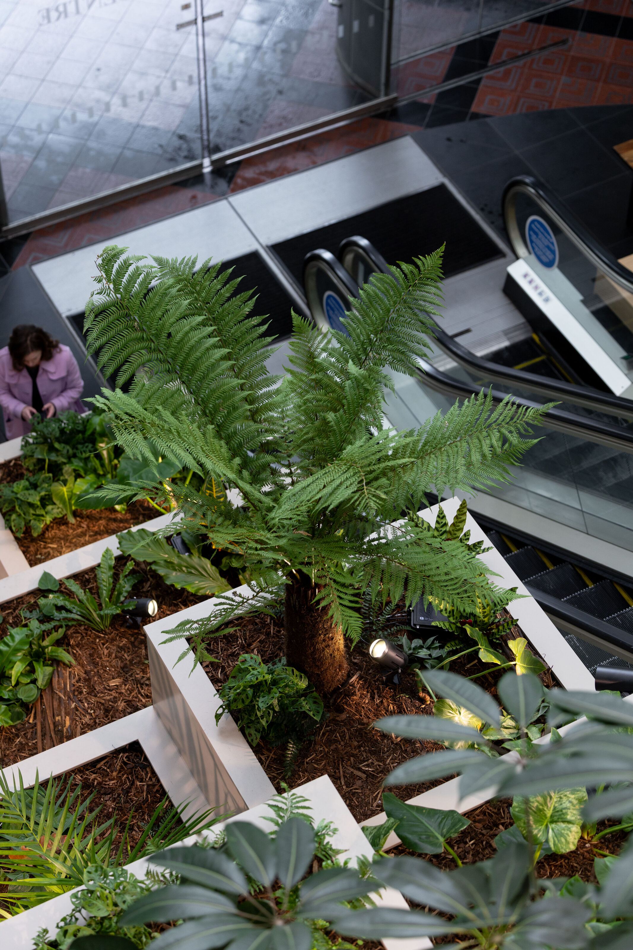 Overhead view of a carved punga garden and staggered planter boxes along the Majestic Centre escalator