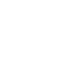 Timing logo