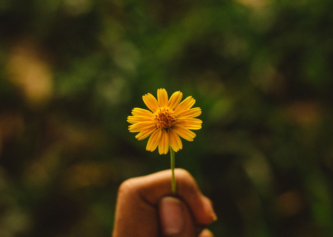 Bloom's 2 Sigma