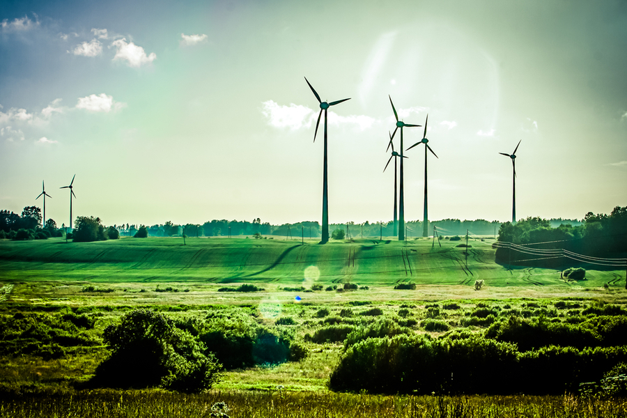 green giveaways for evetns