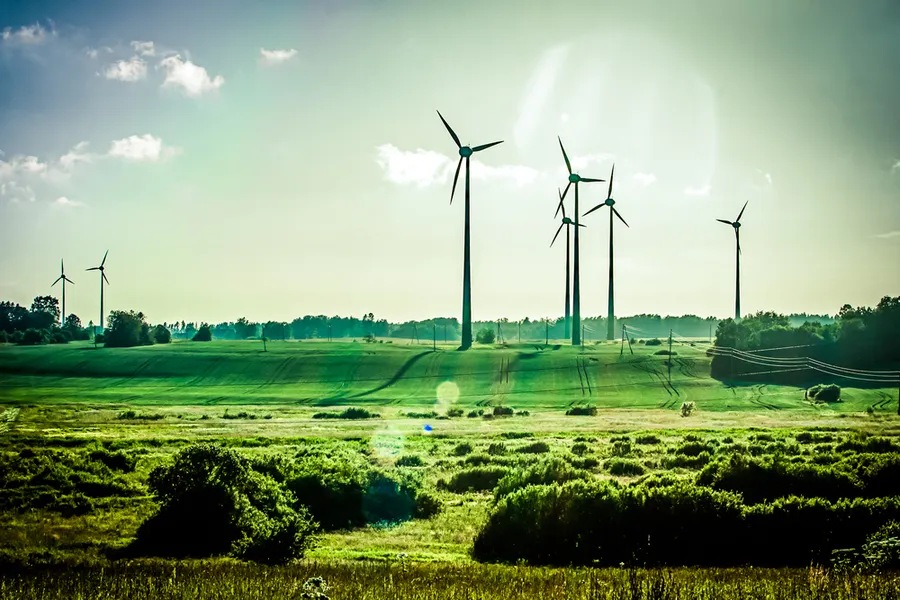 green giveaways for evetns