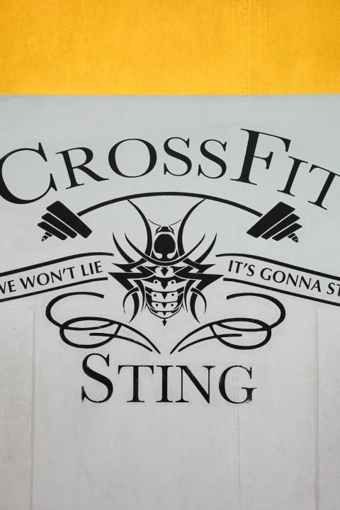 CrossFit Sting