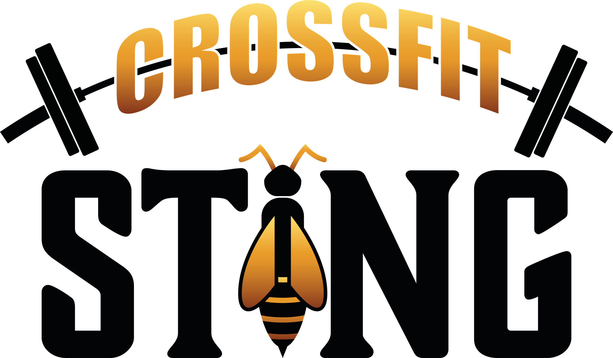 CrossFit Sting